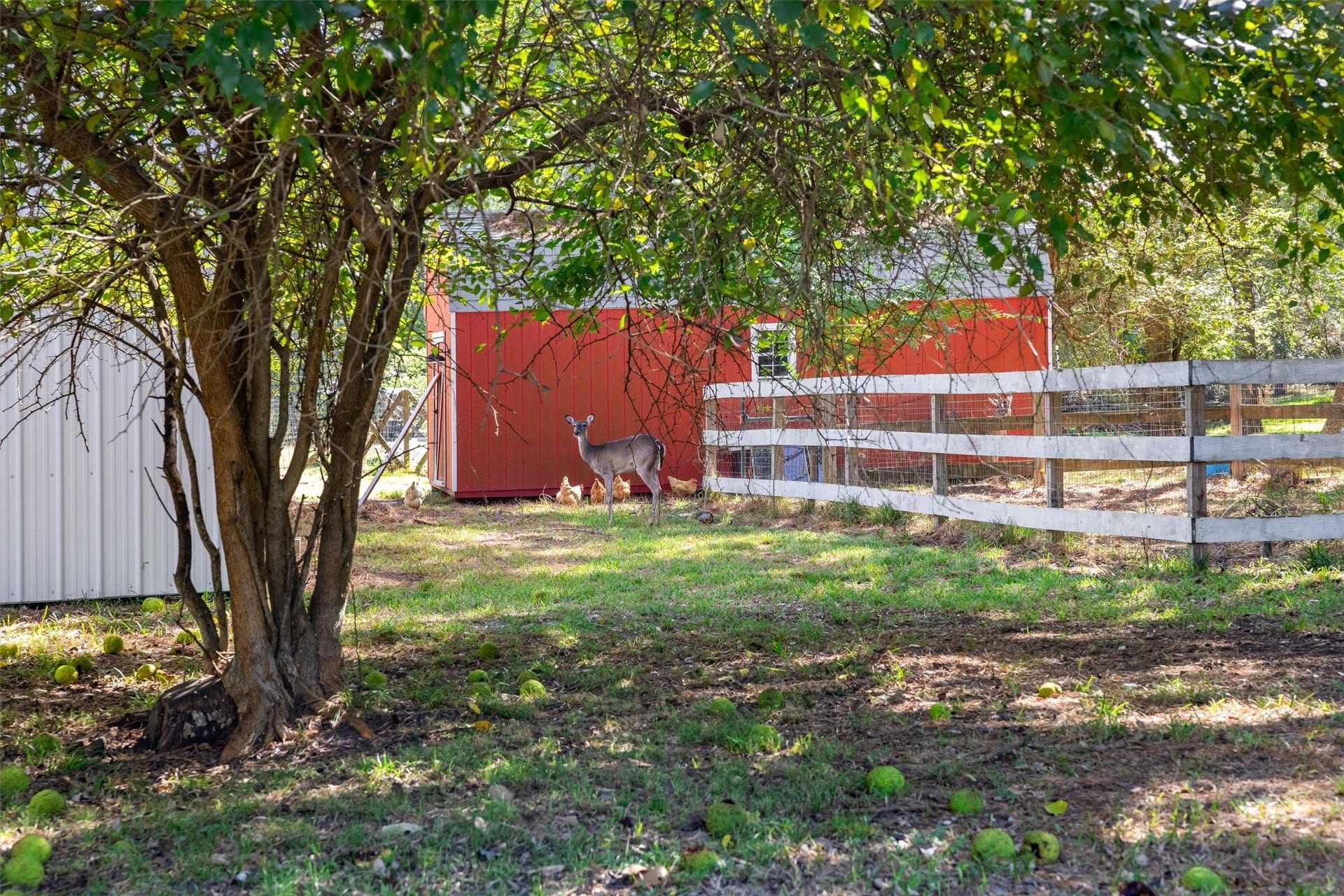 1007 Shawnee Drive, Conroe, TX 77316 1007 Shawnee Drive, Conroe, TX 77316