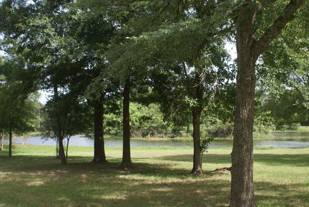 2335 Morgan Ridge Lane, Spring, TX 77386 2335 Morgan Ridge Lane, Spring, TX 77386