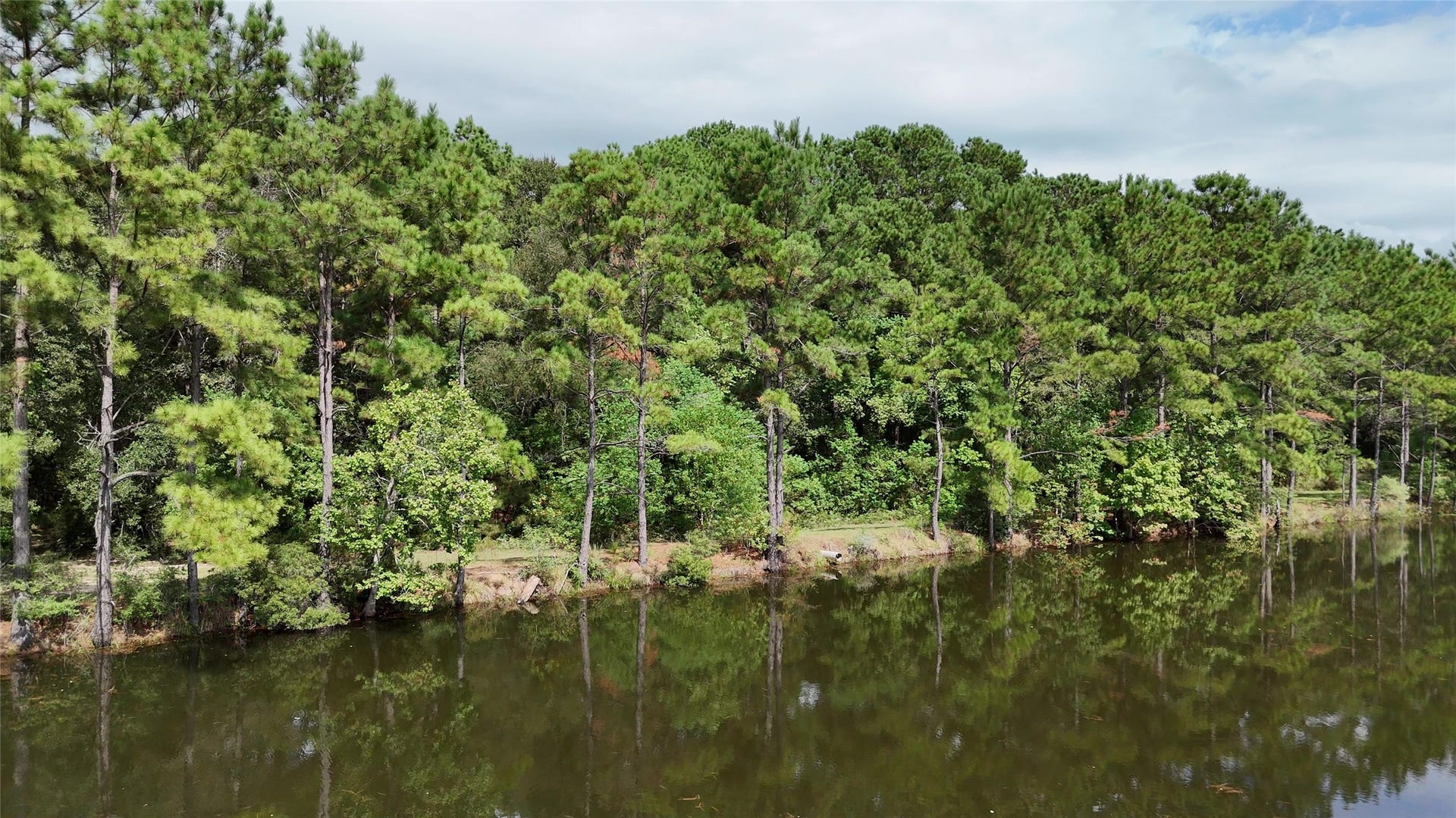 27874 Riley Road, Waller, TX 77484 Imagine having this beautiful wooded pond right in your own backyard! Towering pines, peaceful waters and the sounds of nature make this a wonderful place to escape the hustle and bustle of everyday life.