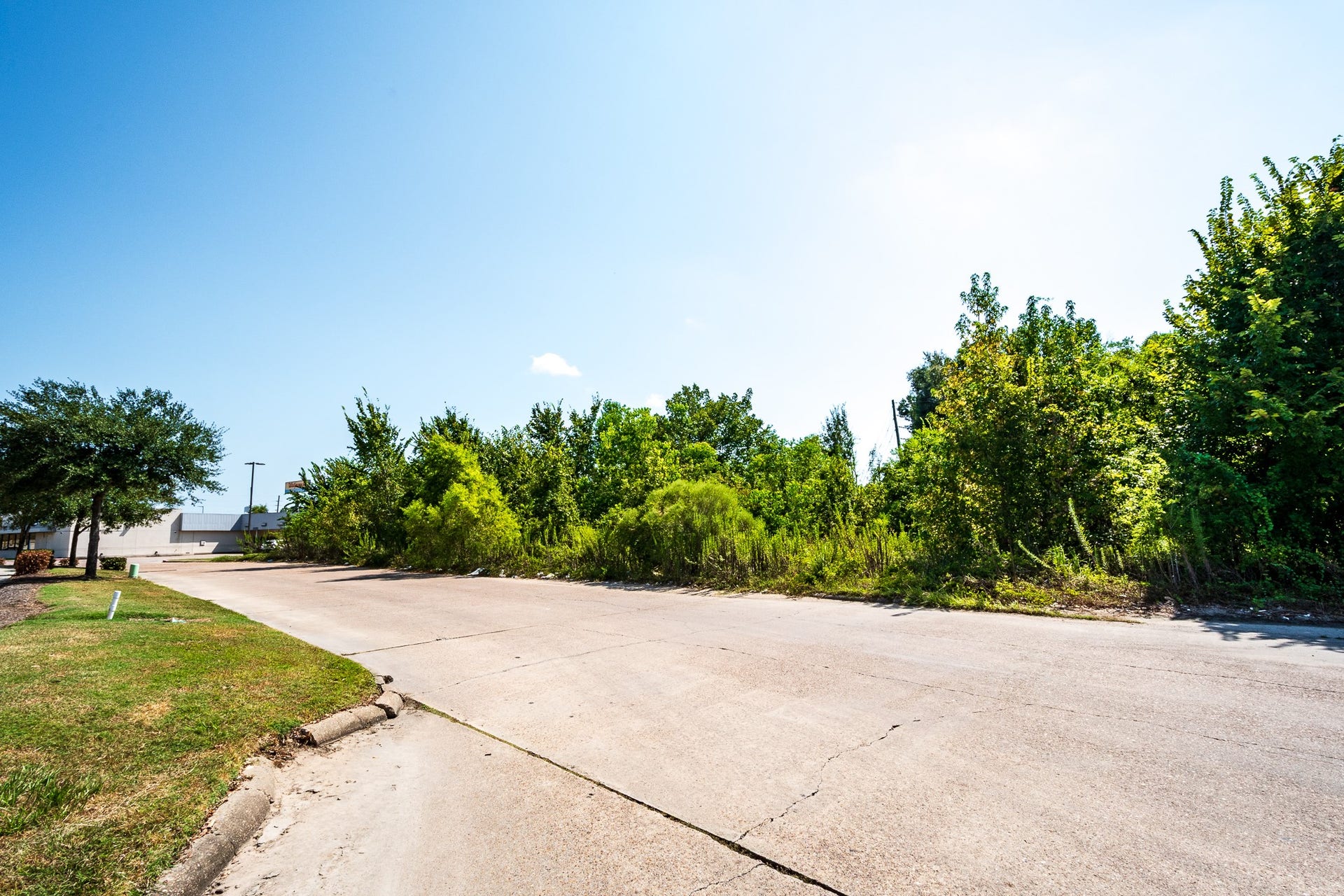 00 Trevena, New Caney, TX 77357