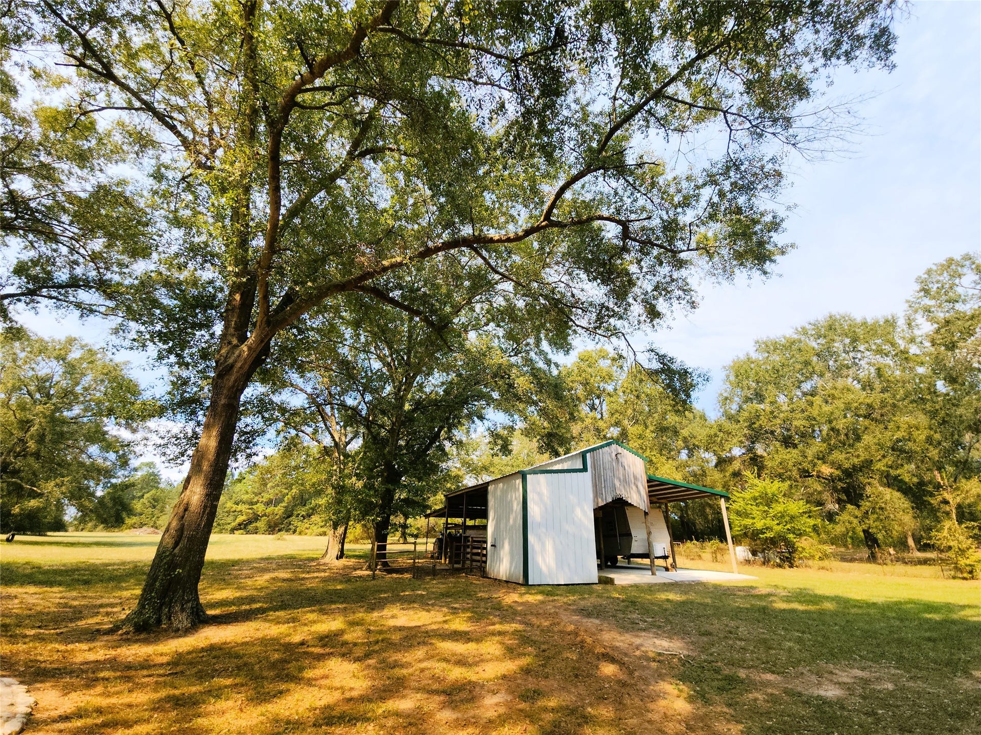 557 Fm 2693 Road E, New Waverly, TX 77358 Charming property featuring a spacious yard with mature trees and a versatile barn, with a tack room, loft and lean-to.