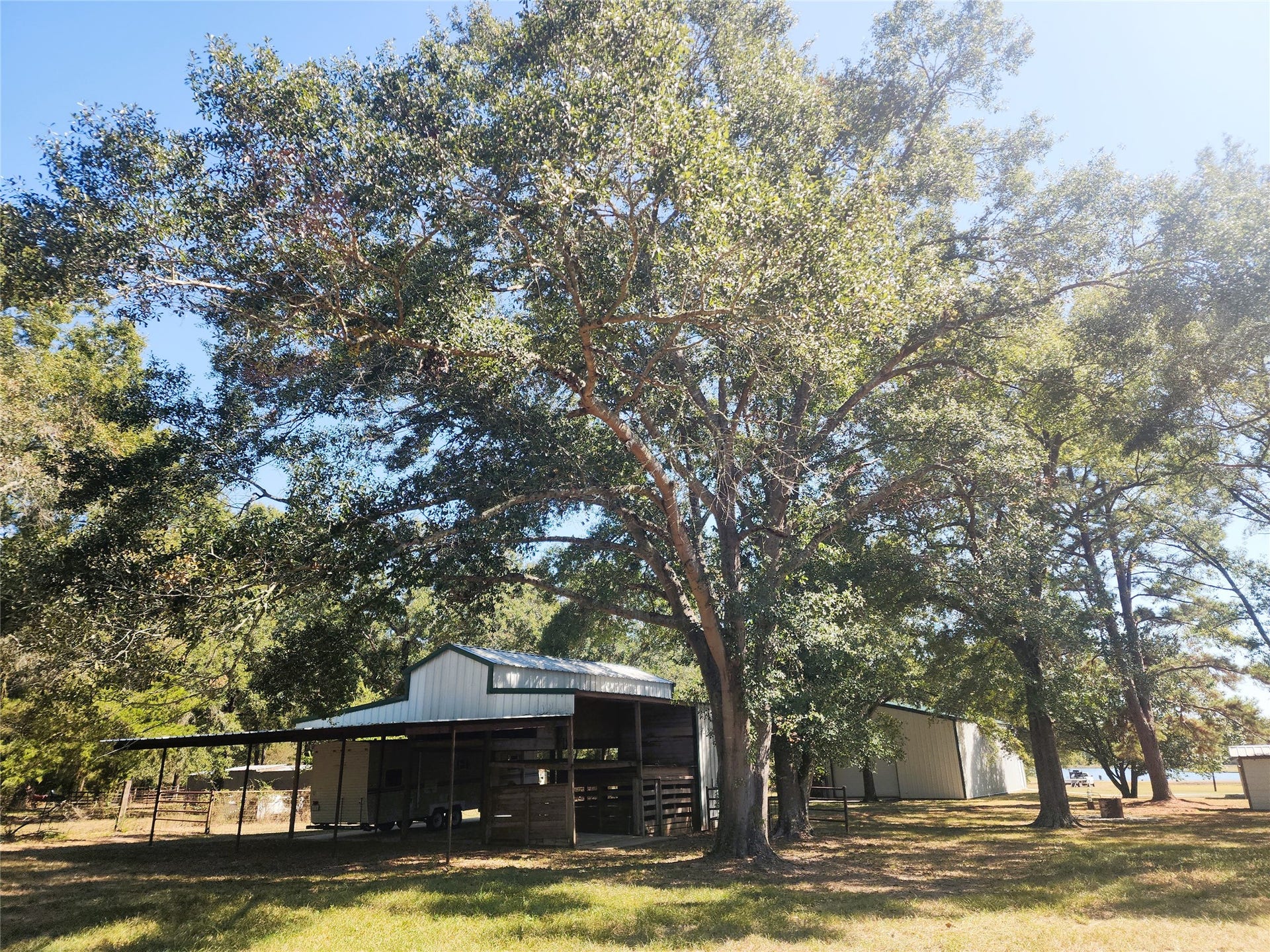 557 Fm 2693 Road E, New Waverly, TX 77358 A spacious metal barn with a covered area, perfect for storing vehicles, surrounded by lush trees.