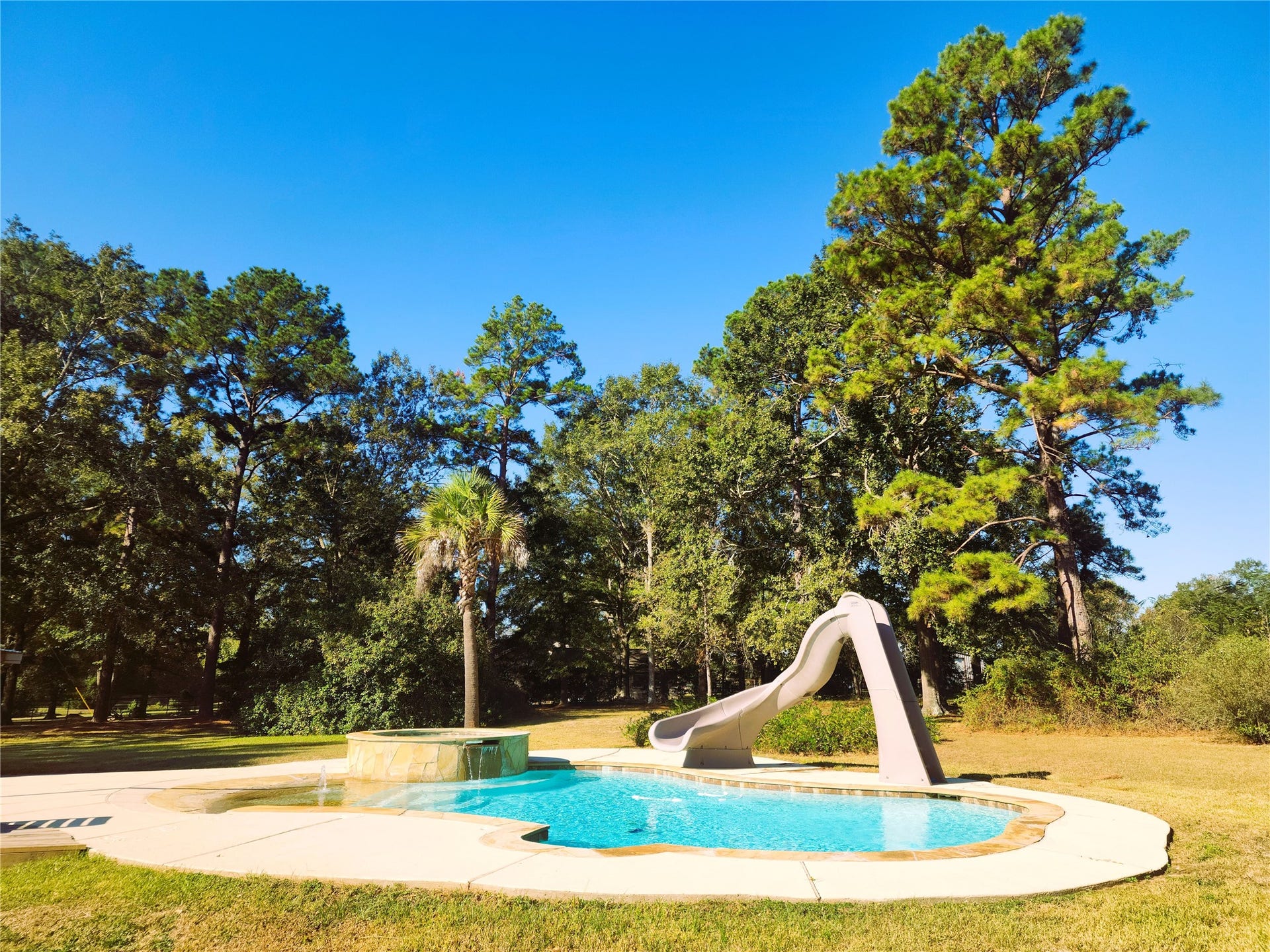 557 Fm 2693 Road E, New Waverly, TX 77358 Enjoy outdoor living with a stunning saltwater pool featuring a slide and beach entry, set against a backdrop of mature trees for added privacy.