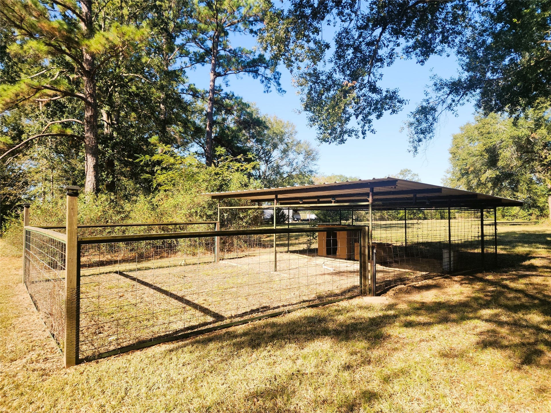 557 Fm 2693 Road E, New Waverly, TX 77358 Spacious outdoor kennel with a secure fenced area and a sturdy roof, nestled among lush trees for added shade and privacy.