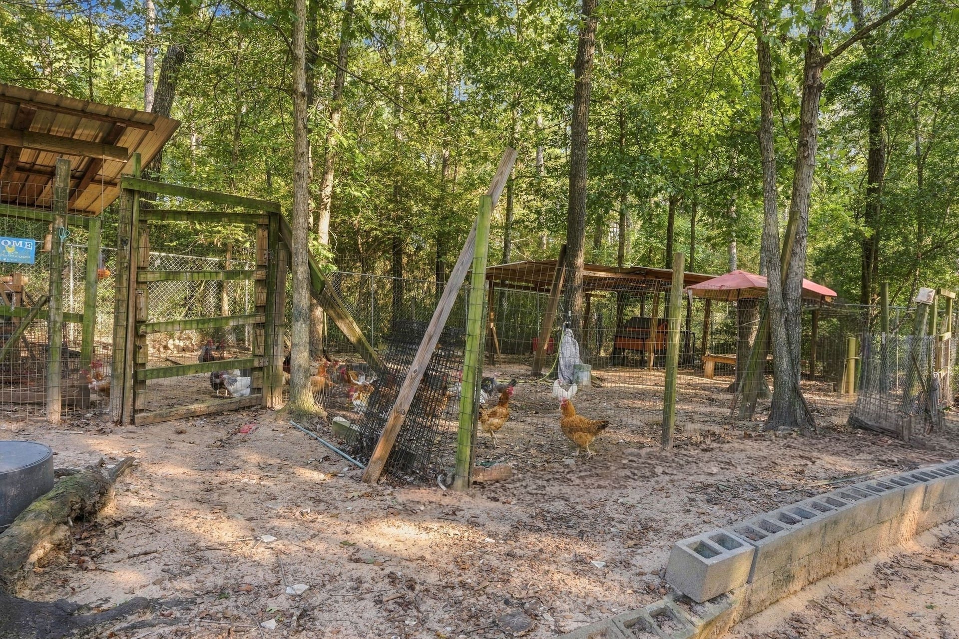 11236 Creek Meadow Drive, Willis, TX 77378