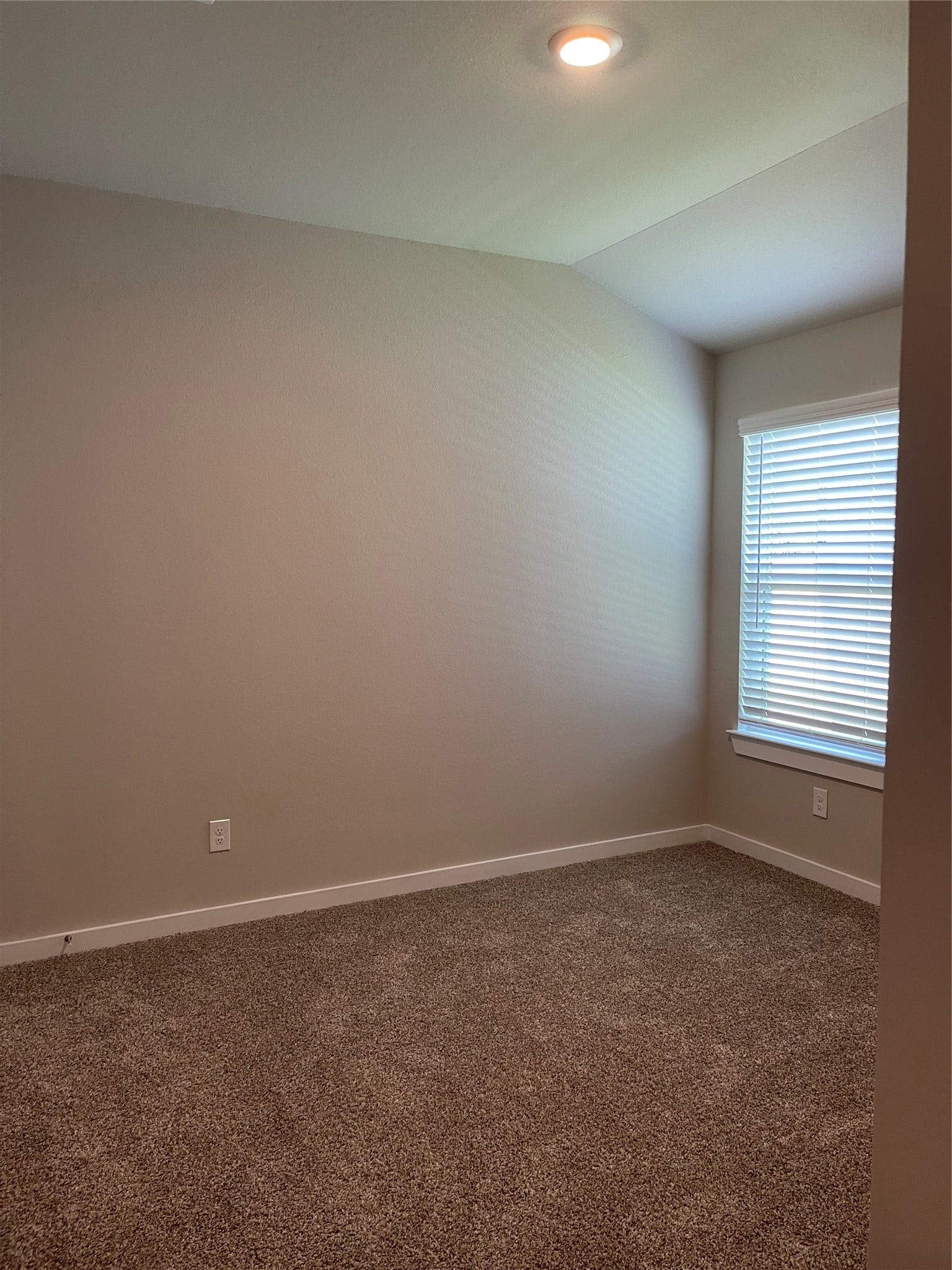 12285 Council Grove Drive, Conroe, TX 77384 Cozy room with plush carpeting, neutral walls, and ample natural light from a large window.