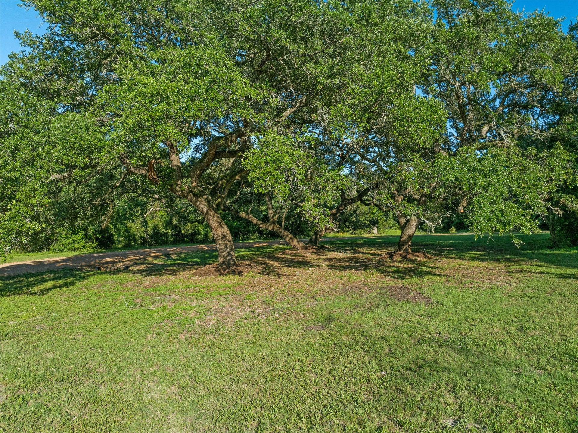 2130 Hartfield Road, Round Top, TX 78954 2130 Hartfield Road, Round Top, TX 78954