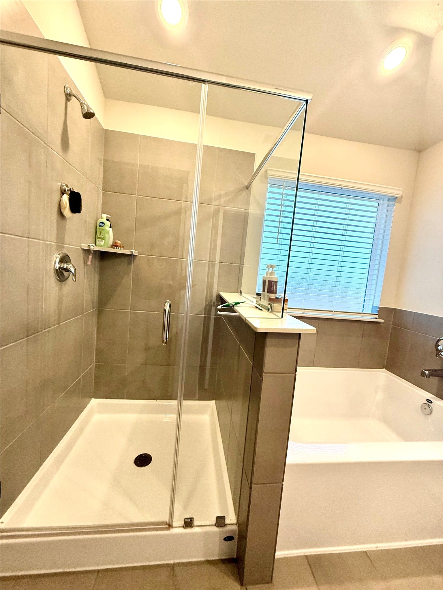 22406 Aster Way Lane, New Caney, TX 77357 Primary Bathroom
