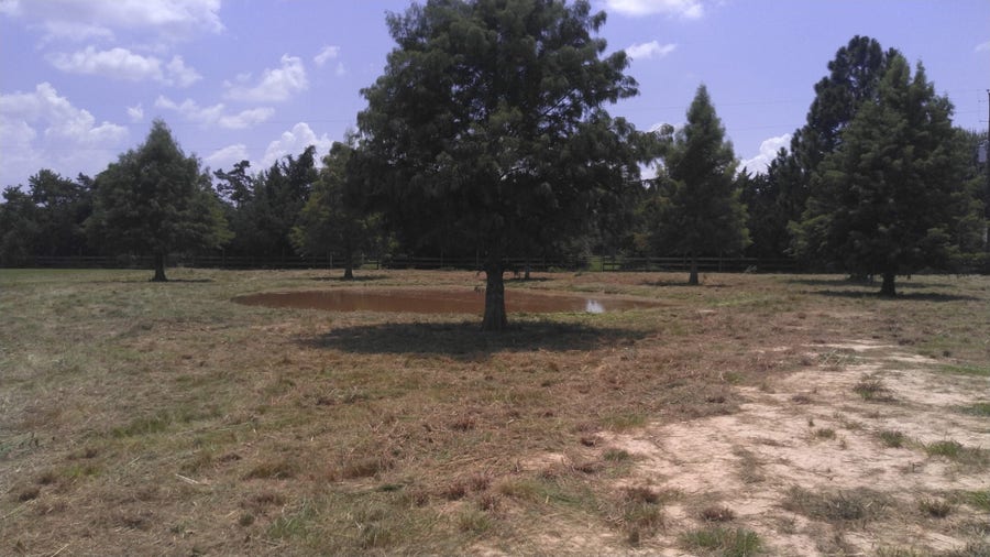 Property photo for 32519 Gadwall Street, Brookshire, TX