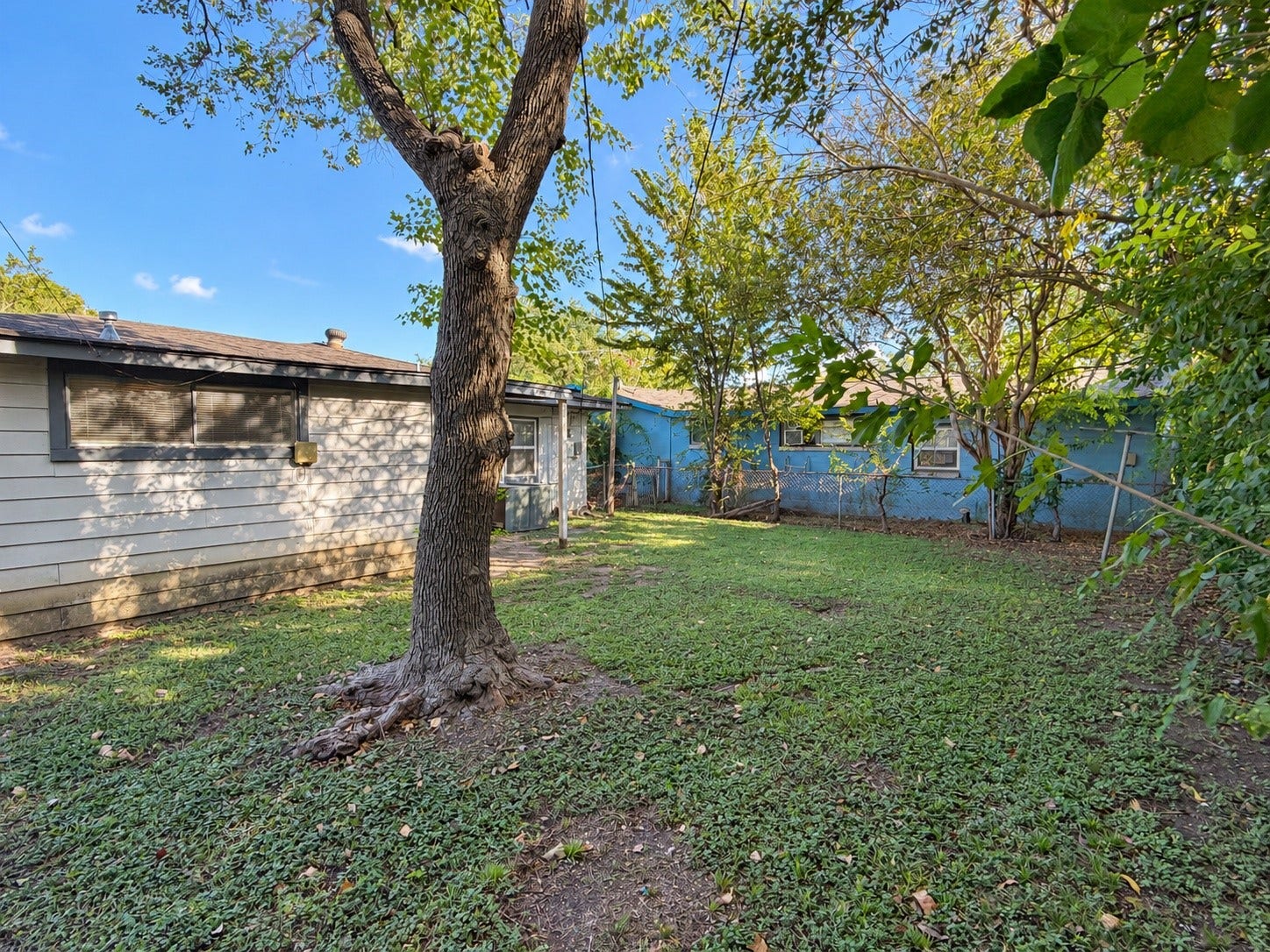 7442 Allsup Street, Houston, TX 77061 Large grassy backyard with shade trees on a 4,500 sq ft lot.