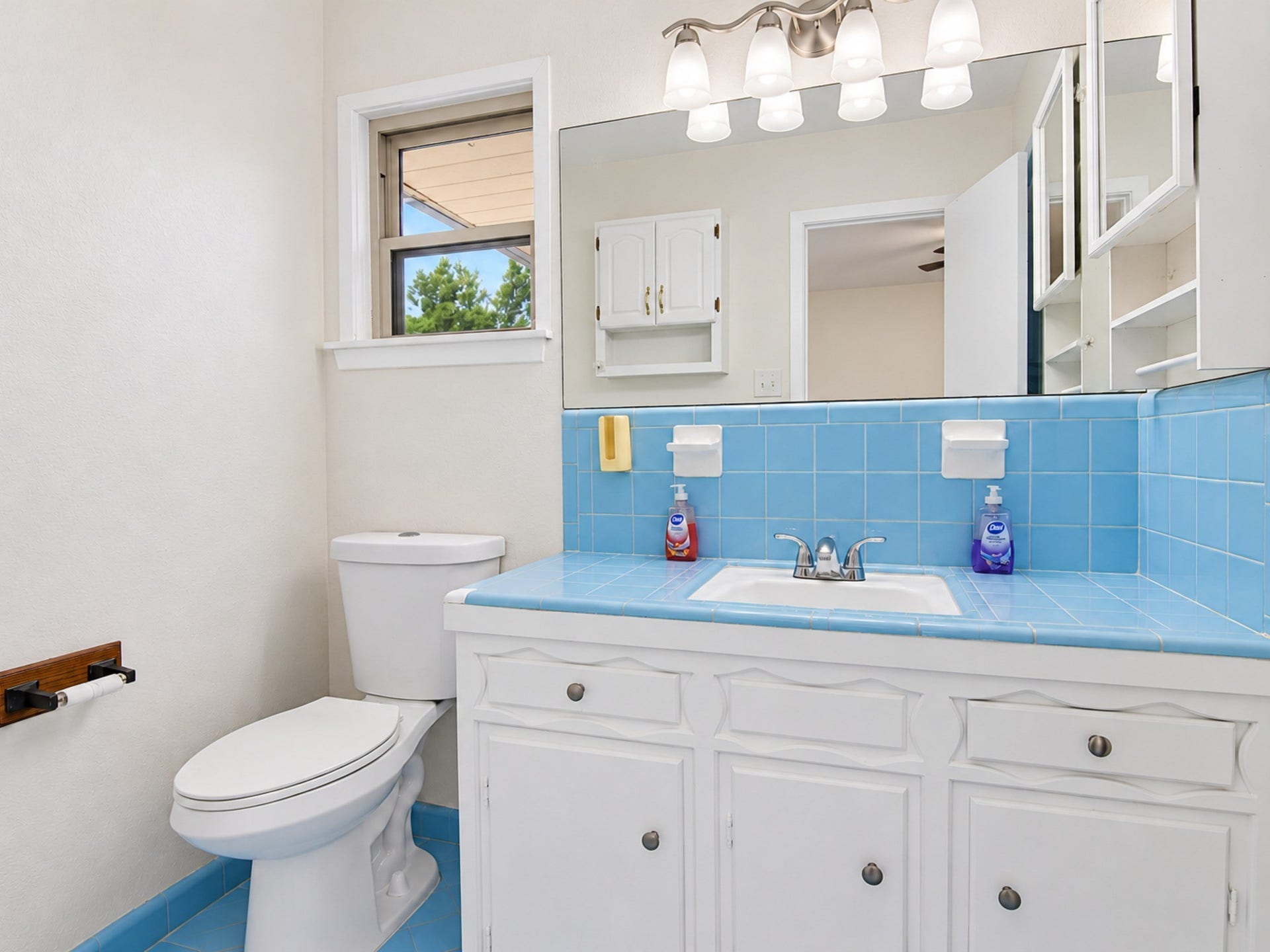 10323 Winding Trail Road, La Porte, TX 77571 Vintage bathroom.
