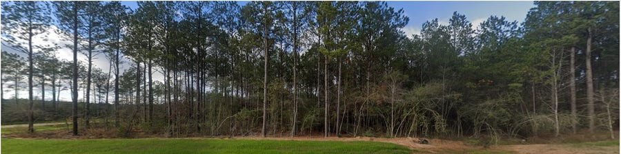 Property photo for 15508 Forest Grove Drive, Willis, TX