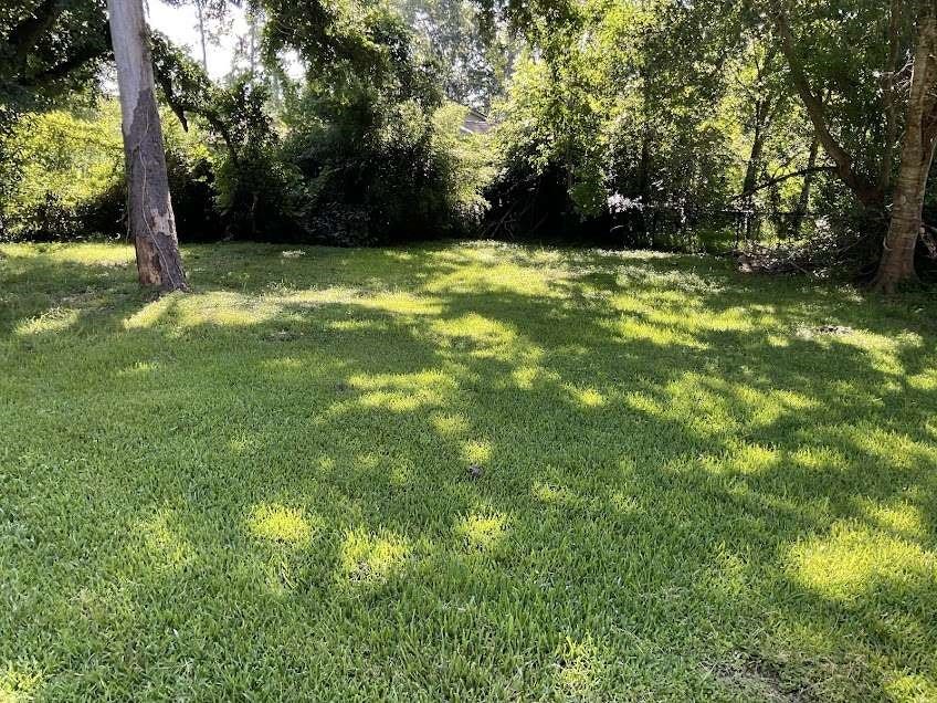 3515 Elm Drive, Dickinson, TX 77539 3515 Elm Drive, Dickinson, TX 77539