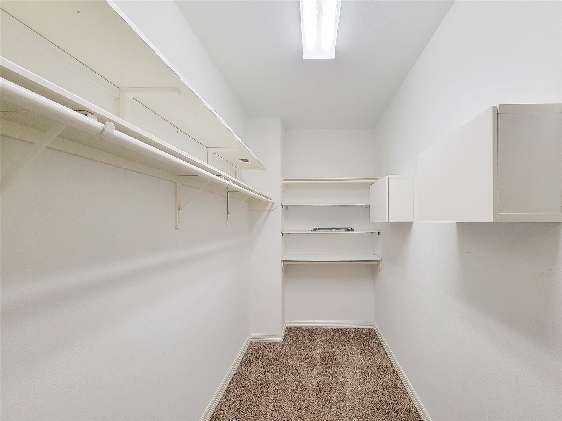 12509 Ivy Run Lane, Pearland, TX 77584