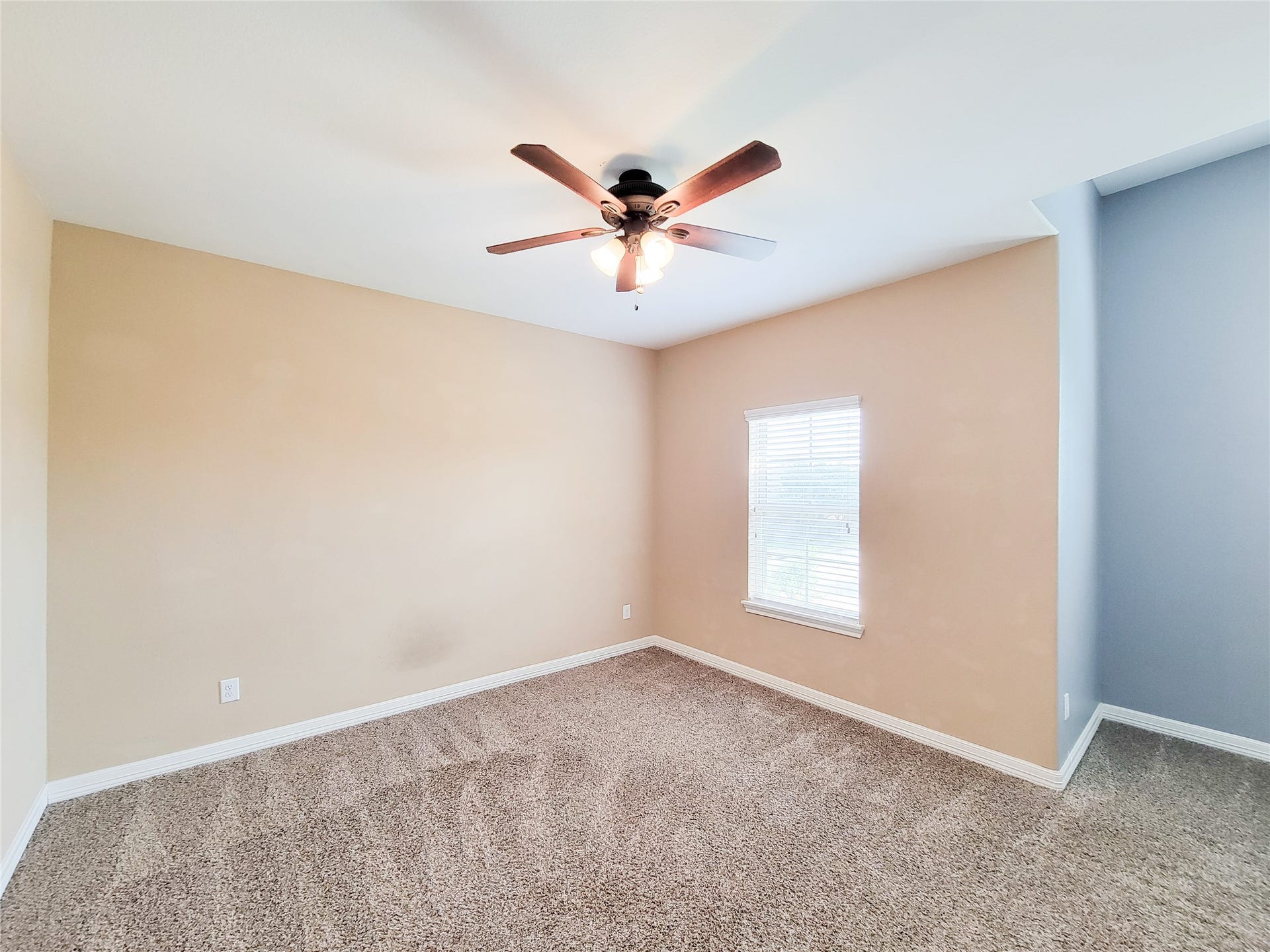 12509 Ivy Run Lane, Pearland, TX 77584