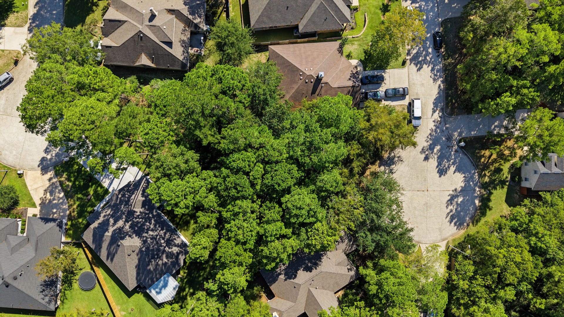 13614 STEAMBOAT SPRINGS, Montgomery, TX 77356 13614 STEAMBOAT SPRINGS, Montgomery, TX 77356