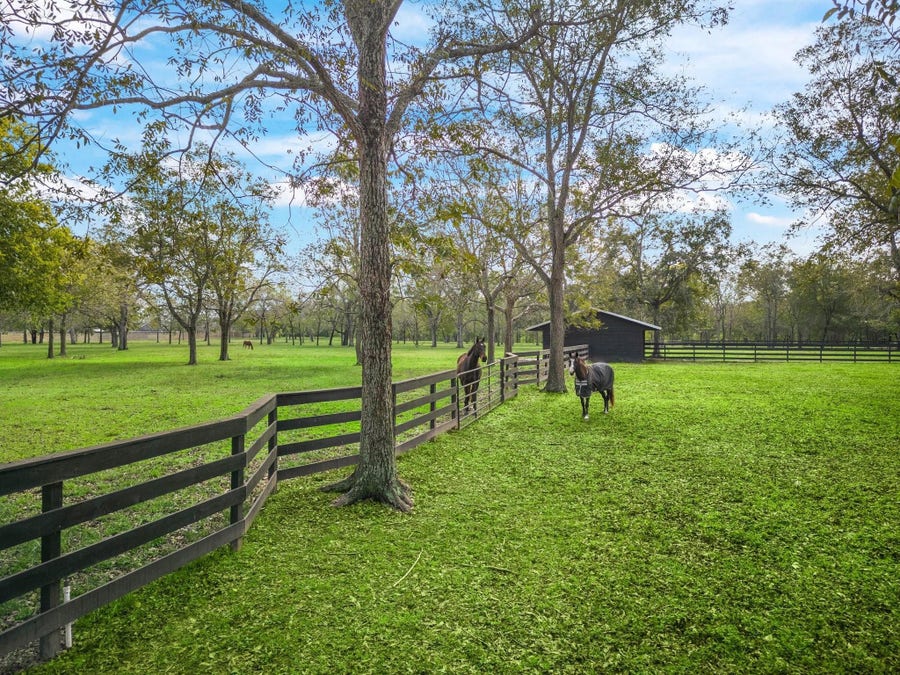 Property photo for 32927 Southern Manors Drive, Fulshear, TX
