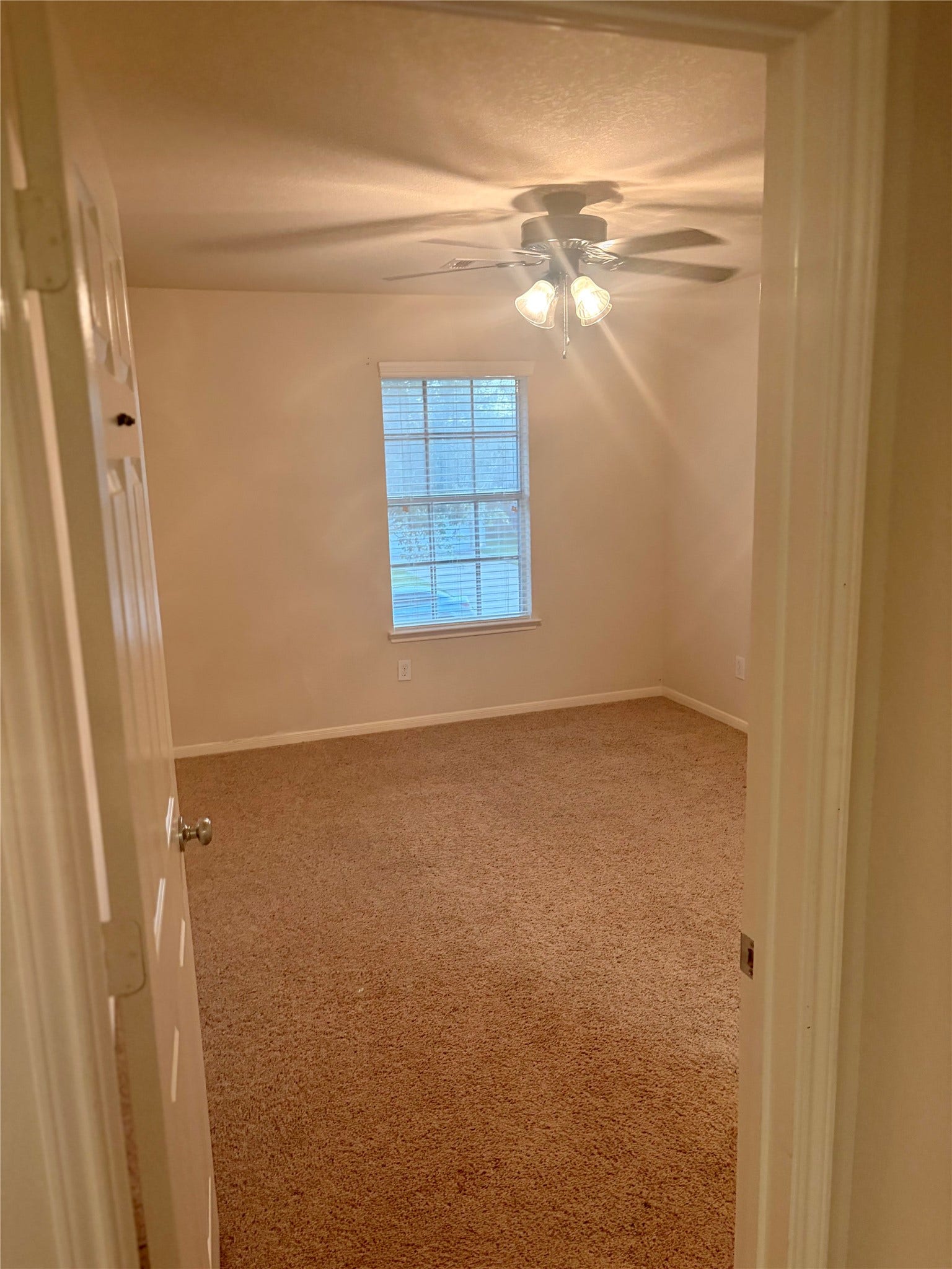 1230 Martinez Court, Friendswood, TX 77546 1230 Martinez Court, Friendswood, TX 77546