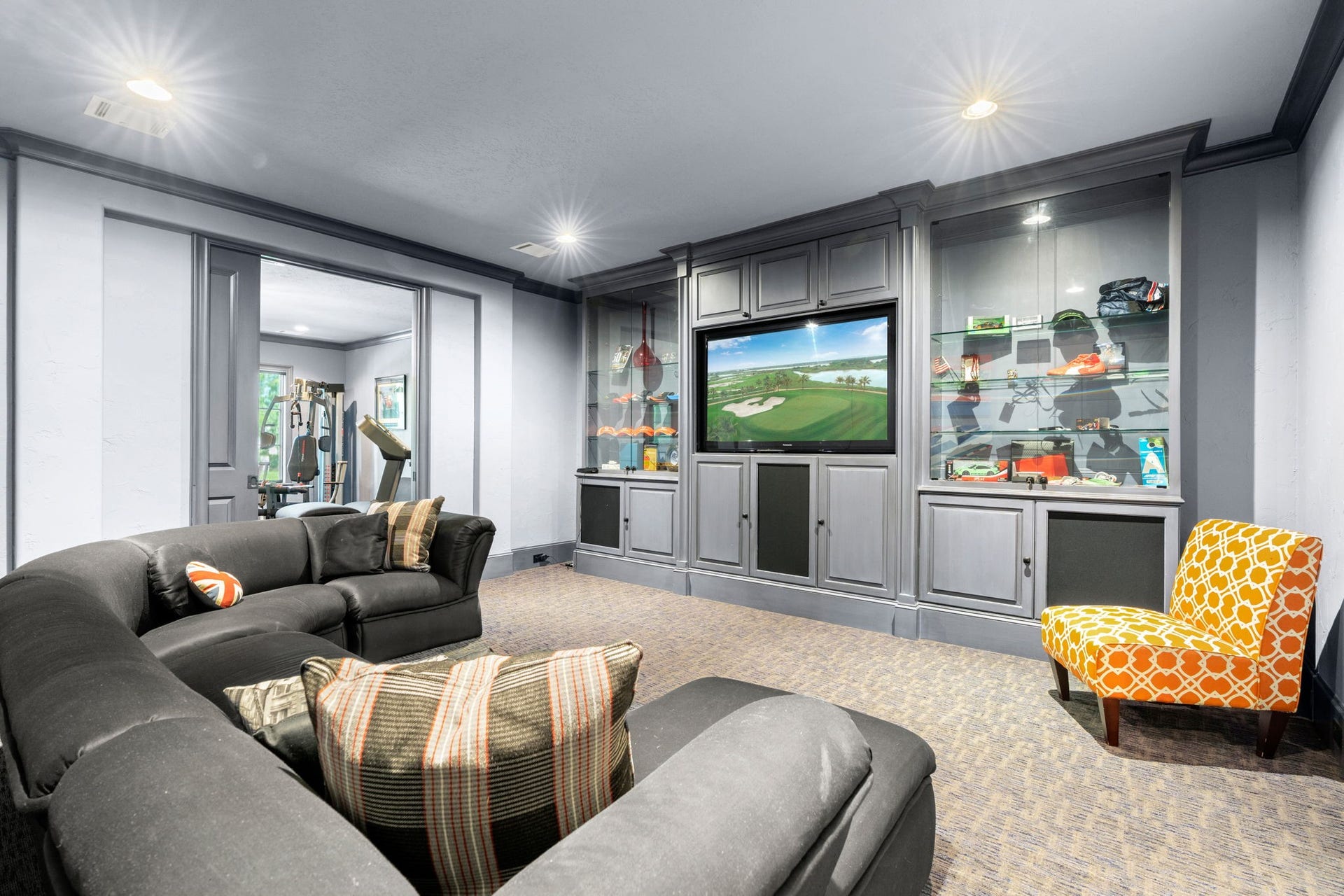 MEDIA ROOM