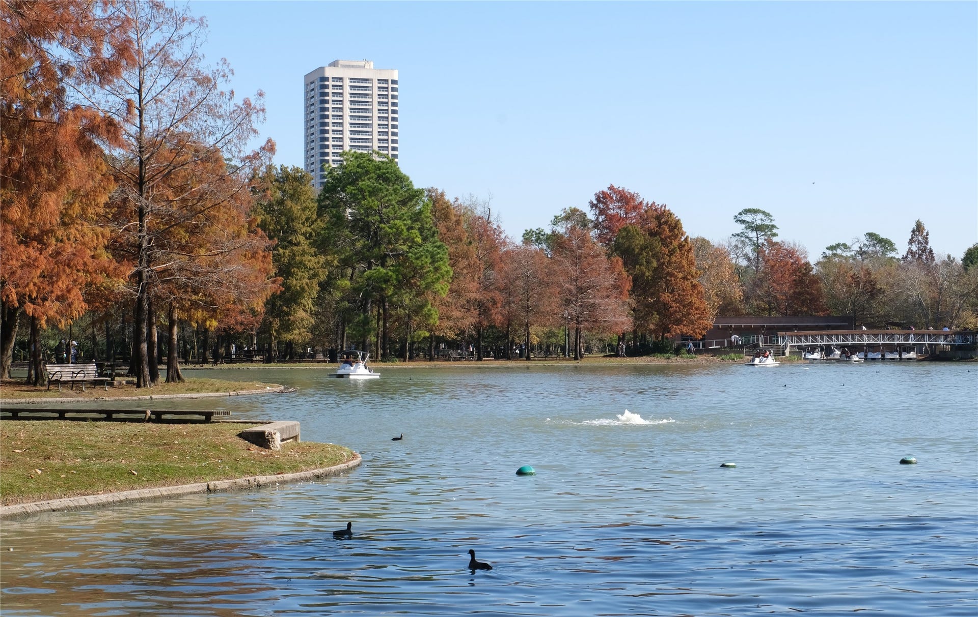 1701 Hermann Drive, #25A, Houston, TX 77004 Who needs autumn in New York when you have it in Houston at the Parklane. Come visit us and find your new home in the clouds.