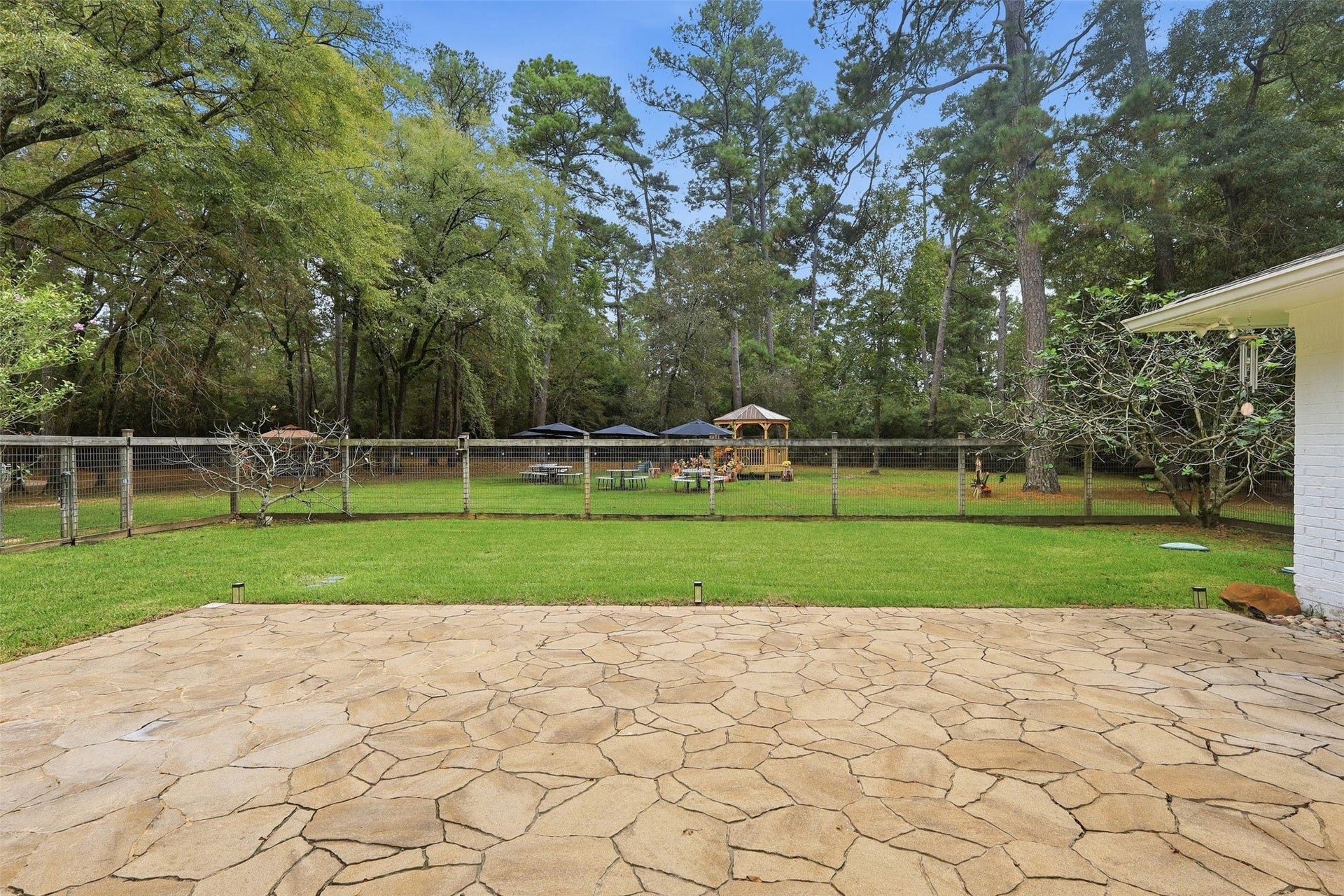 Backyard of main home