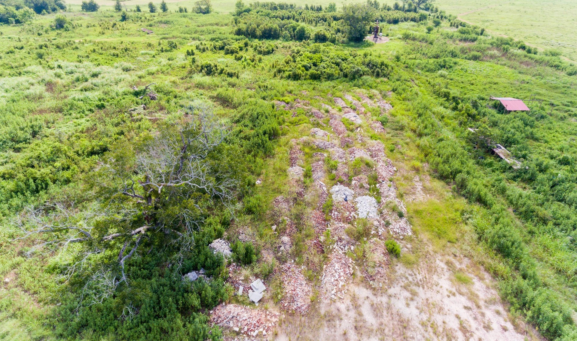 The photo shows a large, open plot of land with dense greenery and some scattered trees. There are visible rows of debris or rubble, and a small structure with a red roof on the right side. Ideal for buyers looking for a rural or undeveloped property.
