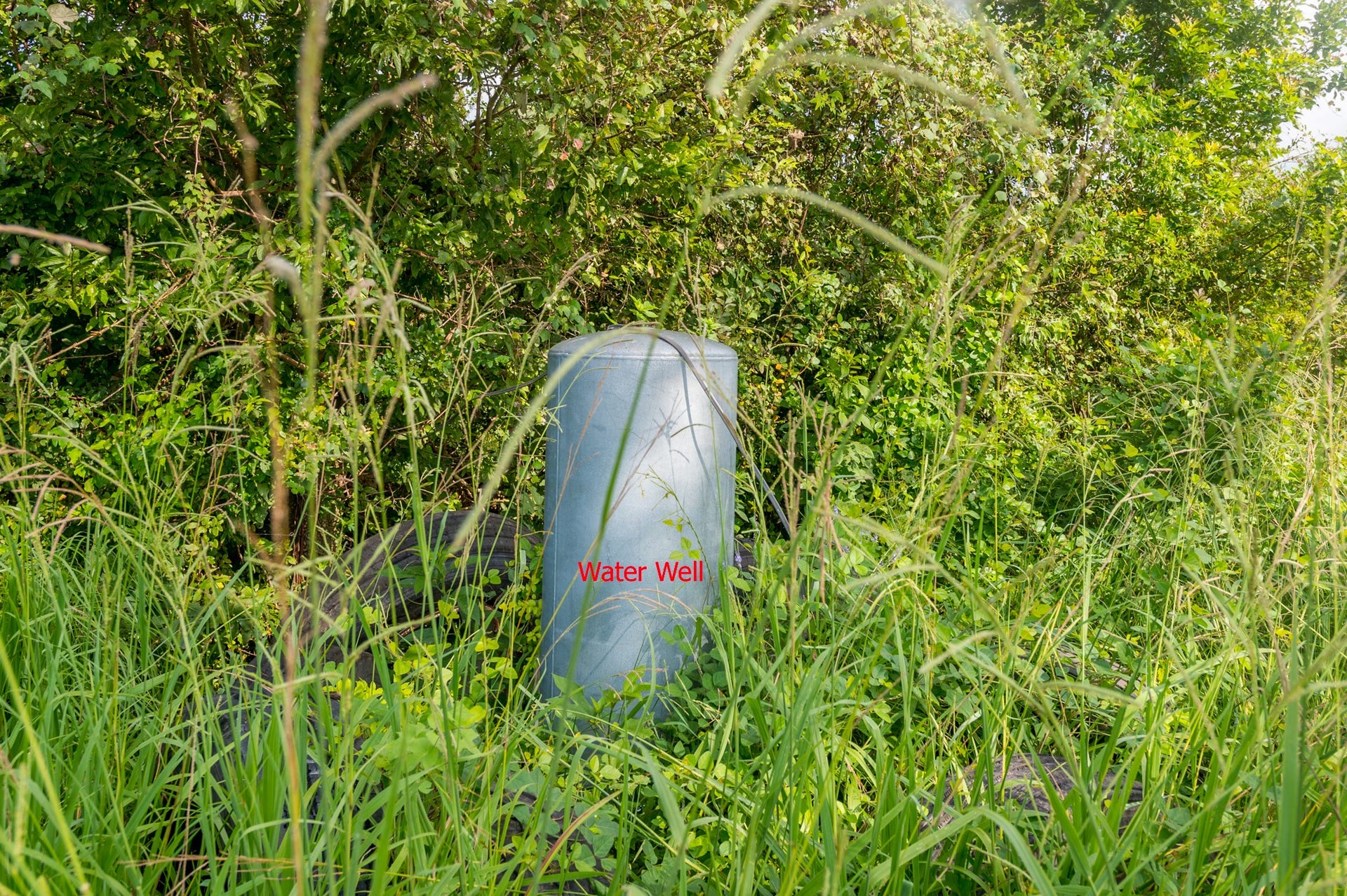 The photo shows a water well surrounded by lush greenery and tall grass, offering a rustic and self-sufficient water source on the property.