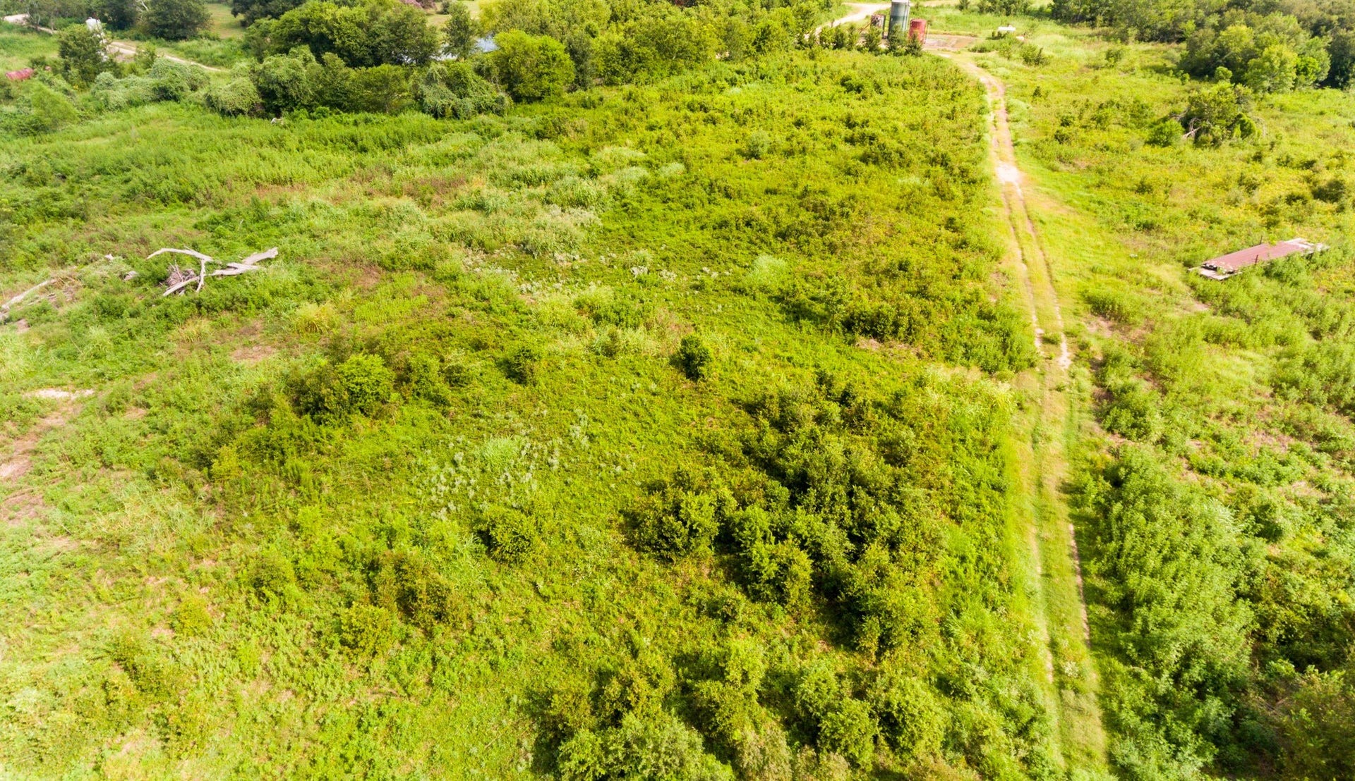 This photo showcases a large, open plot of land covered in greenery, with a dirt path running through it. Ideal for development, it offers a natural setting with plenty of space and potential for customization.