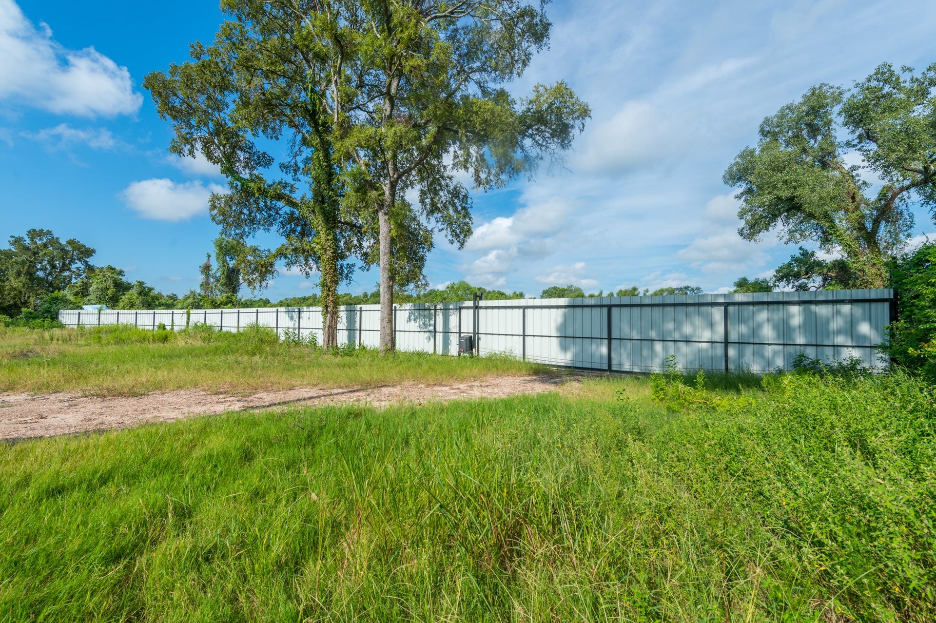 Spacious plot with lush greenery, mature trees, and a long, white metal fence under a bright blue sky. Ideal for privacy and development.