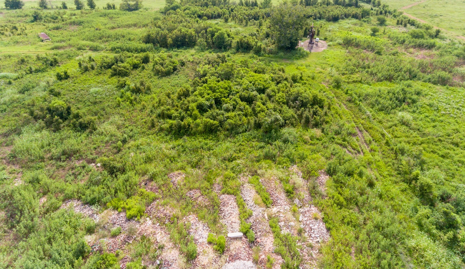 This photo shows a vast, open plot of land with lush greenery and scattered trees. The area is mostly flat with some natural vegetation, offering a sense of privacy and potential for development.
