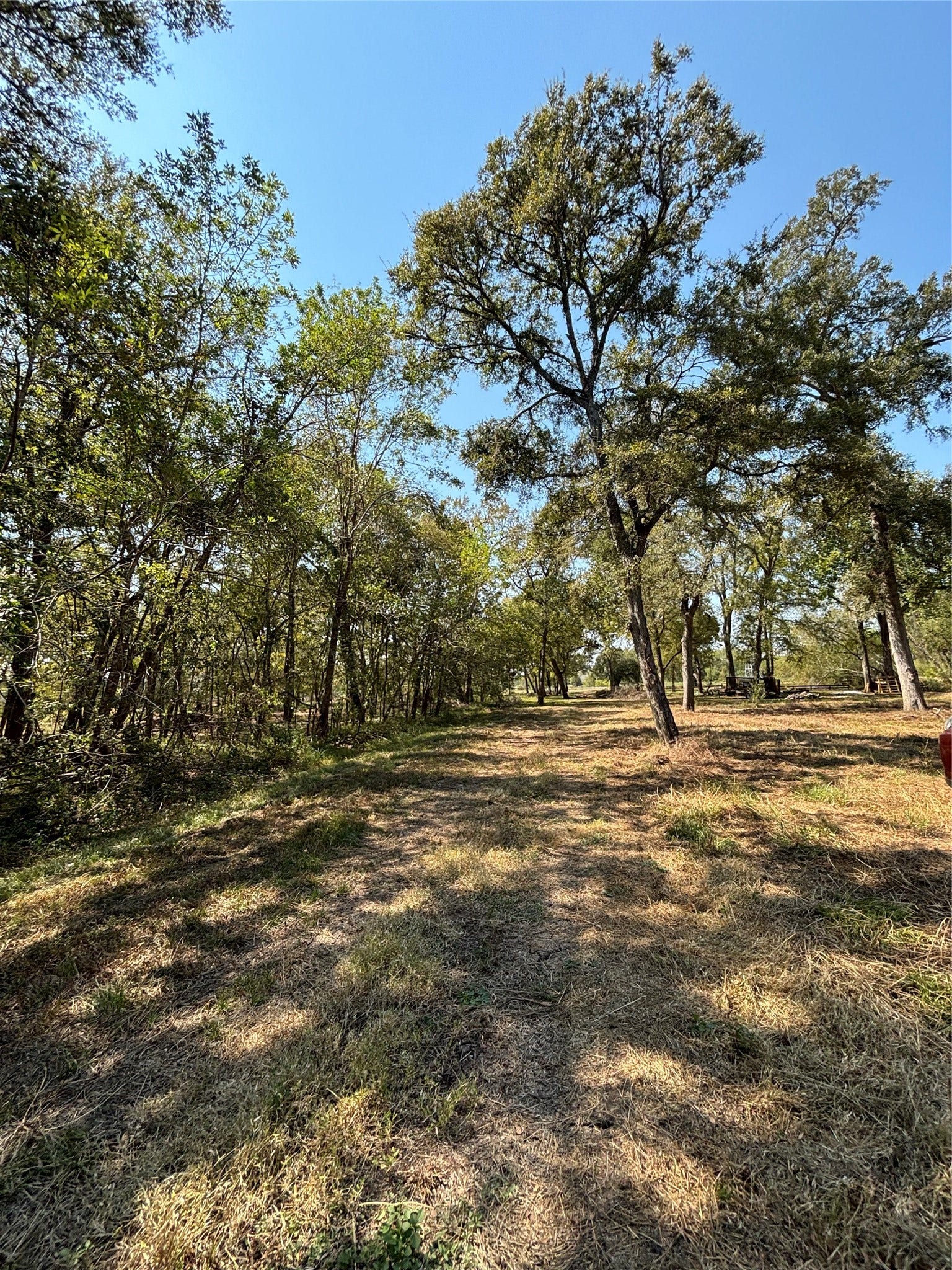 1014 Baker, Rosenberg, TX 77471 1014 Baker, Rosenberg, TX 77471