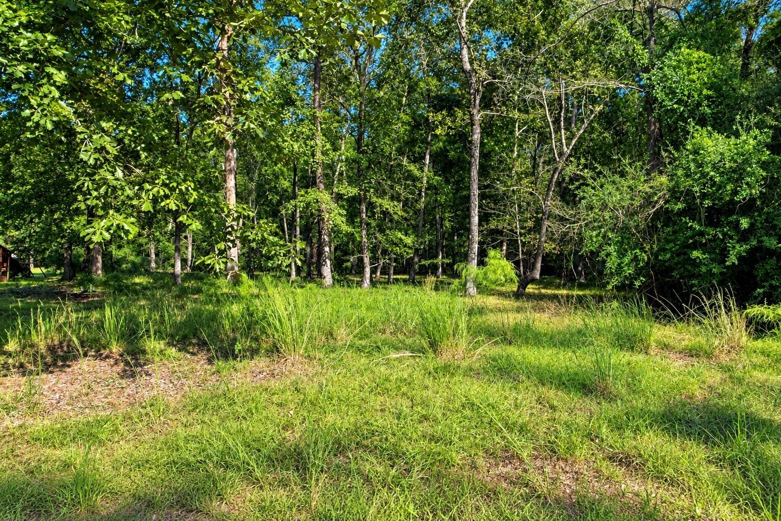 28938 Reserve Bend Drive, Huffman, TX 77336 Wooded lot for privacy. Clear only what you need.