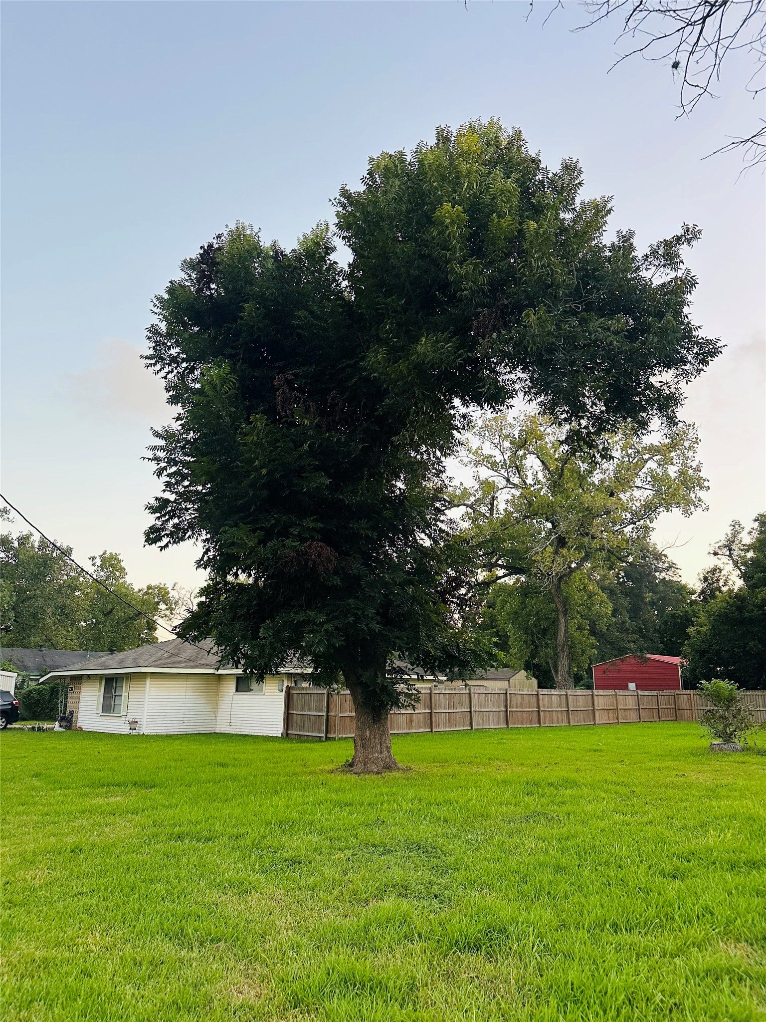 0 Vine Street, Clute, TX 77531 0 Vine Street, Clute, TX 77531