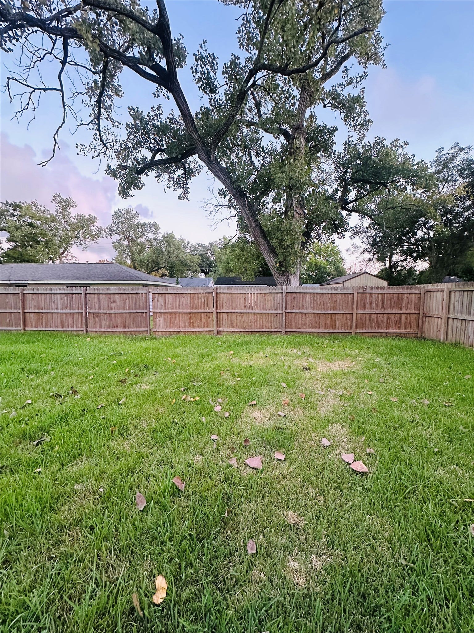 0 Vine Street, Clute, TX 77531 0 Vine Street, Clute, TX 77531