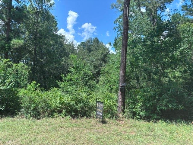 Property photo for 30651 S Walnut Creek Drive, Waller, TX