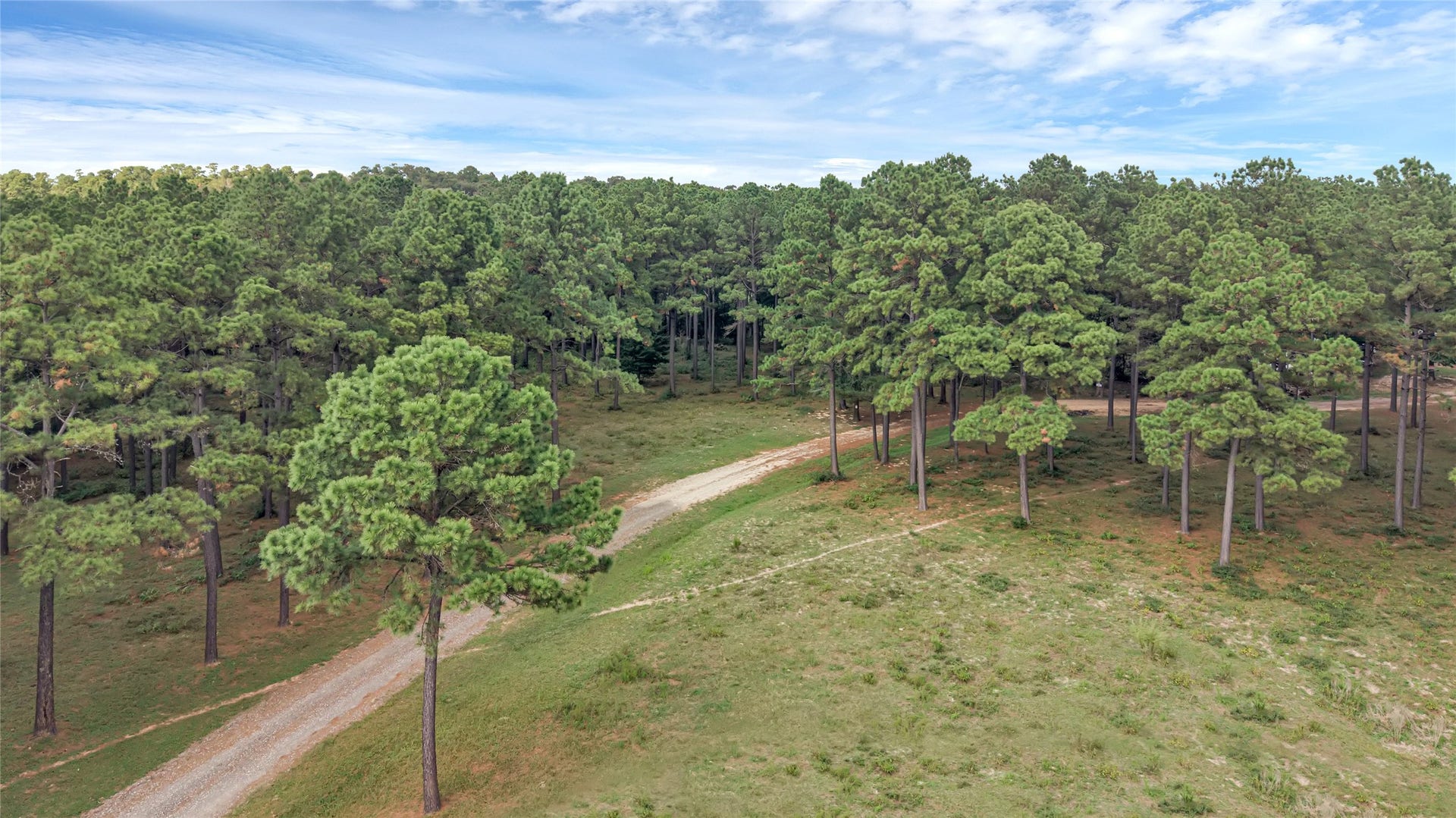 TBD Willis Waukegan, Conroe, TX 77303 TBD Willis Waukegan, Conroe, TX 77303