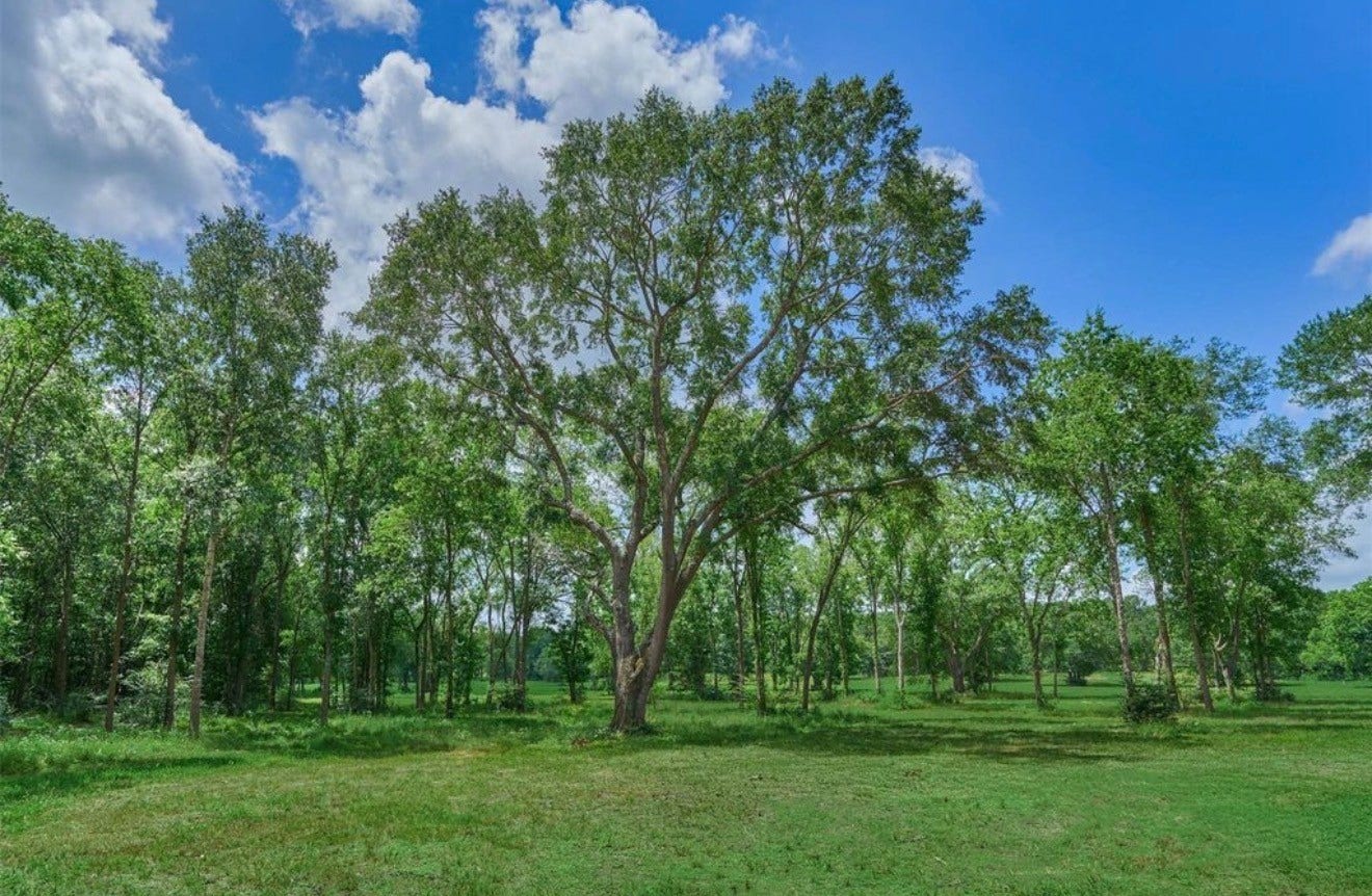 Tract B Sharpwest Trail, Montgomery, TX 77316 Majestic Oaks and hardwoods dot this spectacular country property.