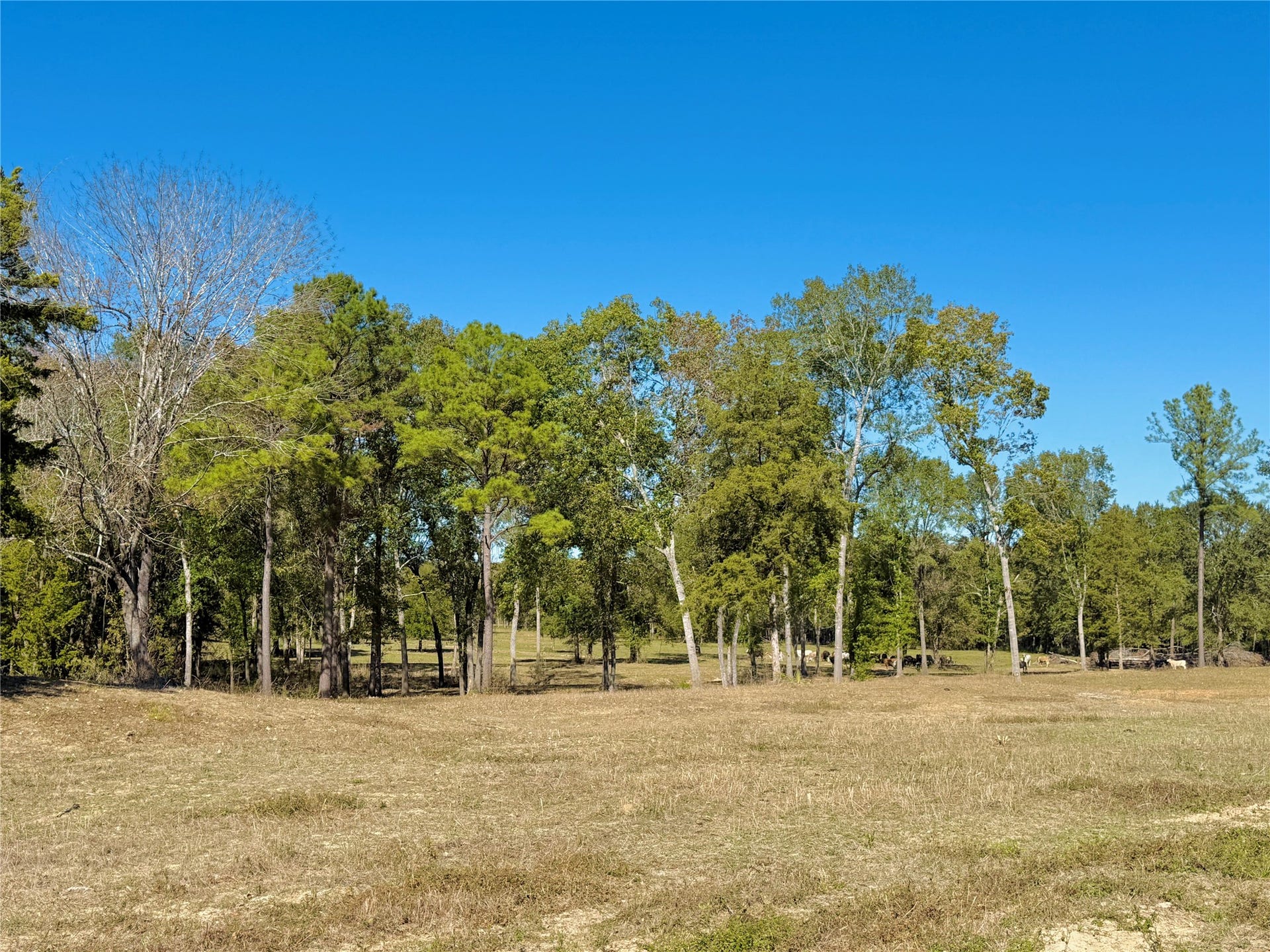 Tract B Sharpwest Trail, Montgomery, TX 77316 Tract B Sharpwest Trail, Montgomery, TX 77316