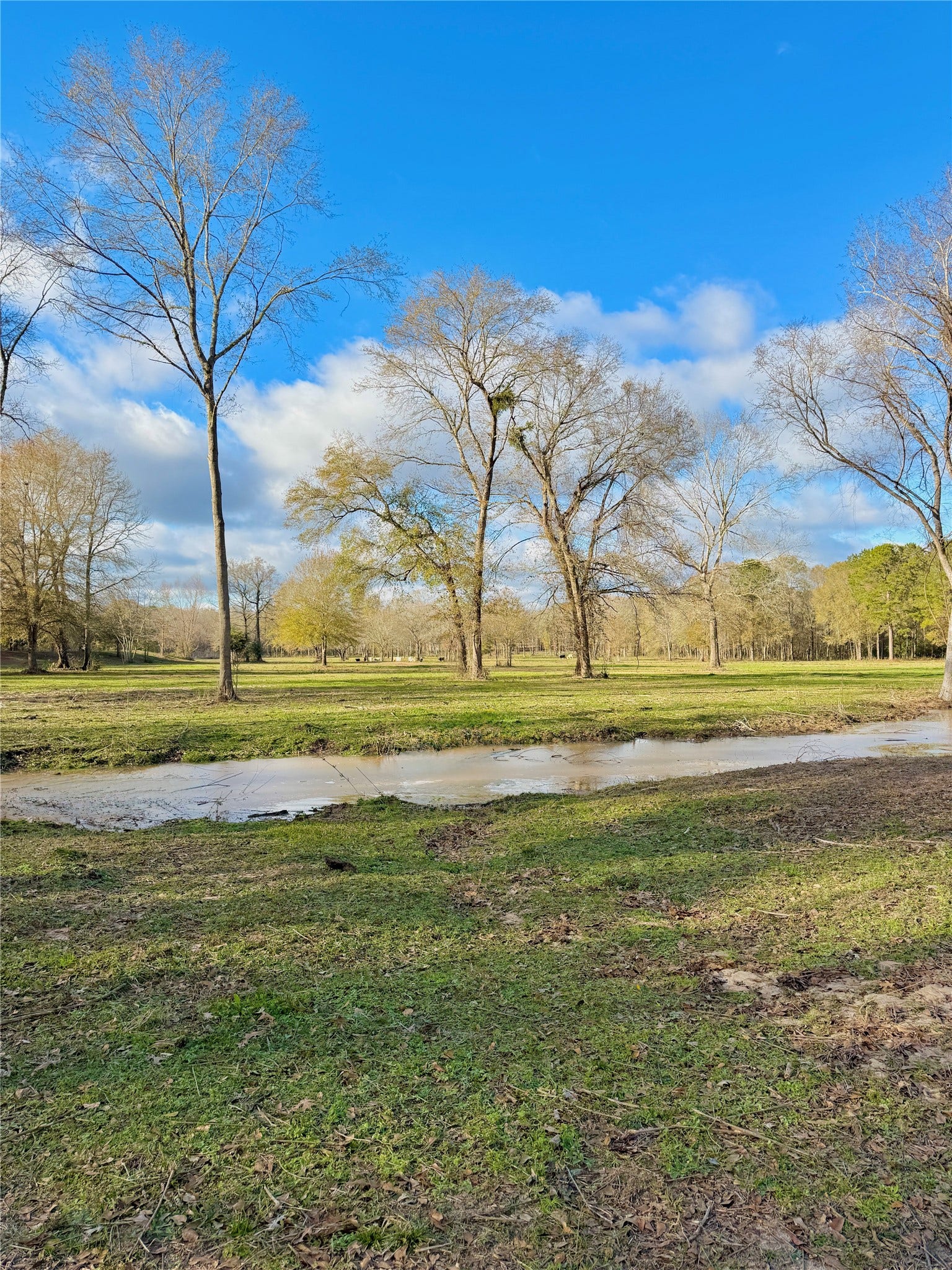 Tract B Sharpwest Trail, Montgomery, TX 77316 Tract B Sharpwest Trail, Montgomery, TX 77316