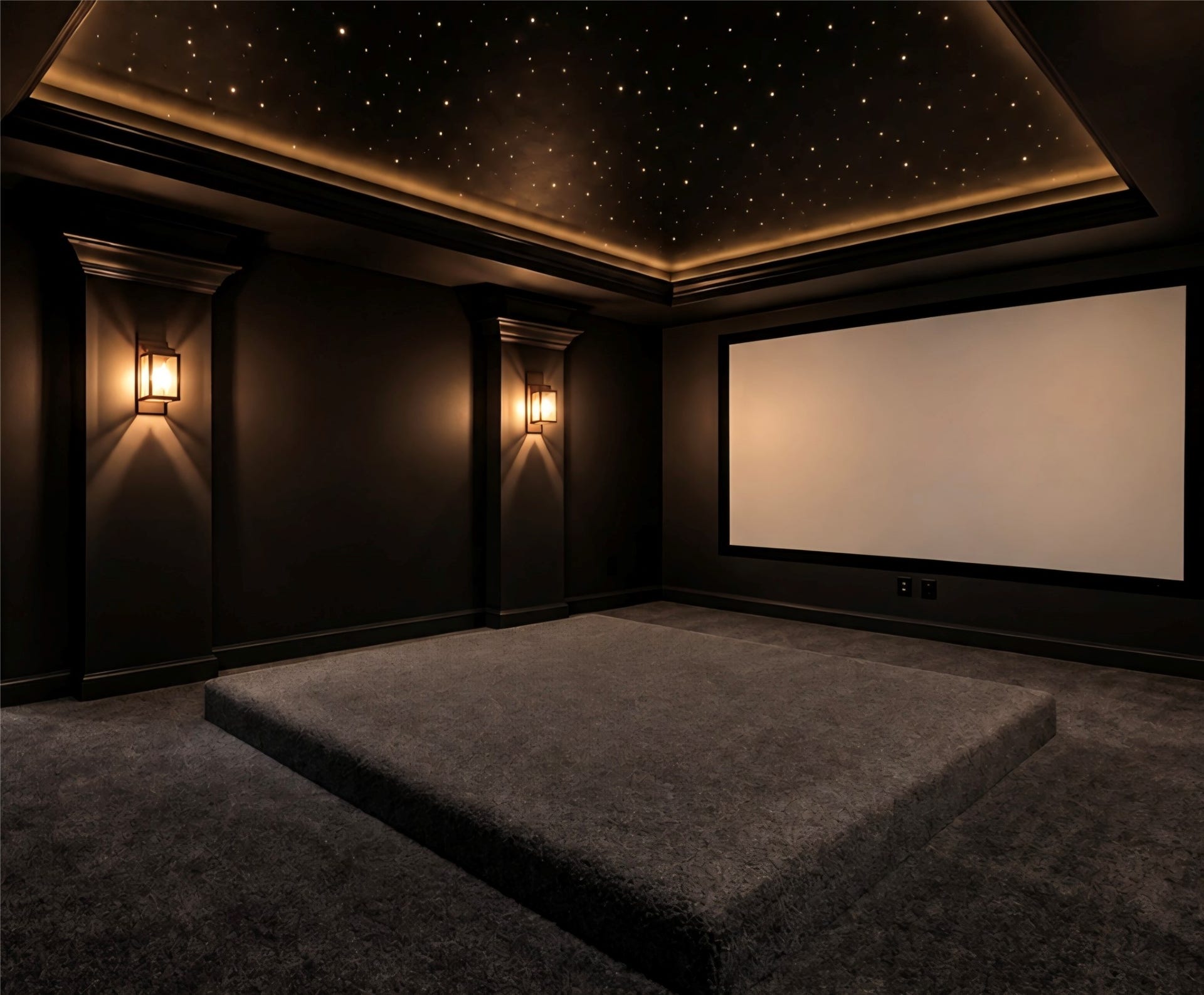 3318 Sunset Field Lane, Missouri City, TX 77459 Theatre Room