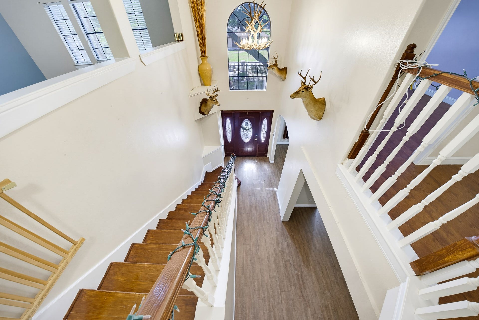 8117 Constellation Lane, Houston, TX 77075