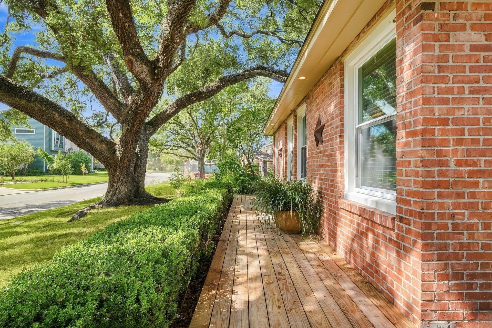 2206 Macarthur Street, Houston, TX 77030 Enjoy your morning coffee or an evening glass of wine under the most gorgeous live oak tree