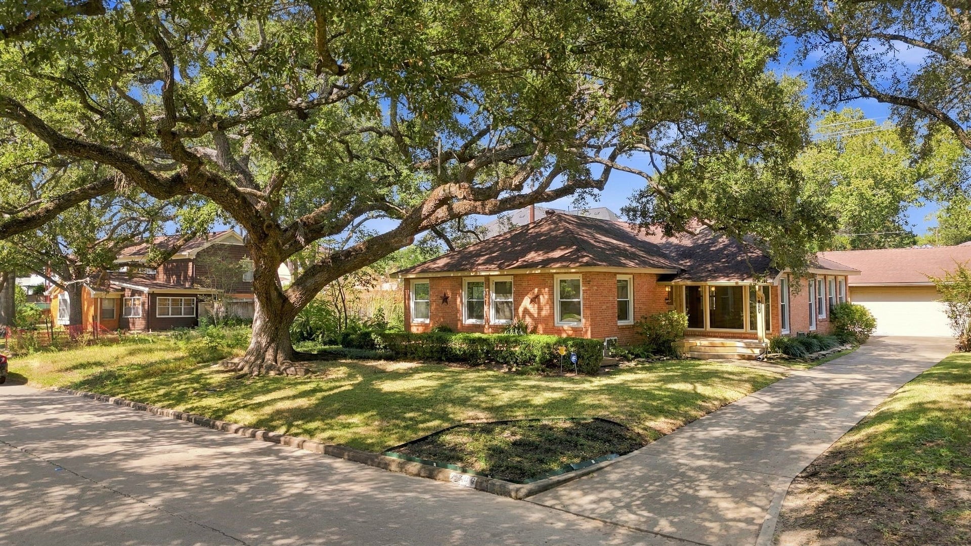 2206 Macarthur Street, Houston, TX 77030 Most beautiful oak tree