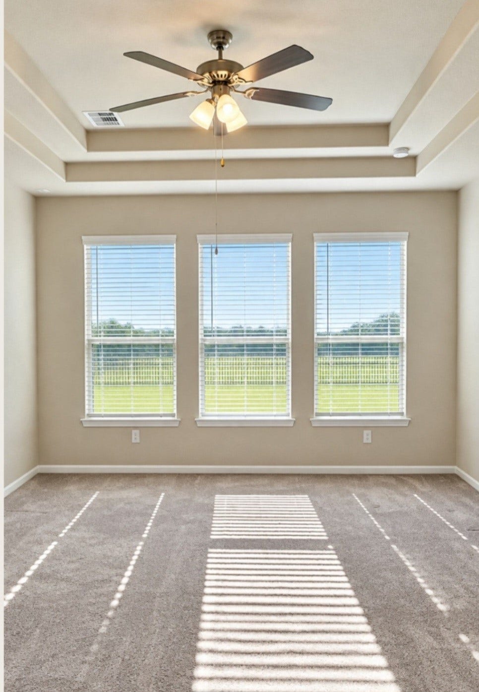 10715 Amador Peak Drive, Rosharon, TX 77583 FORMAL DINING