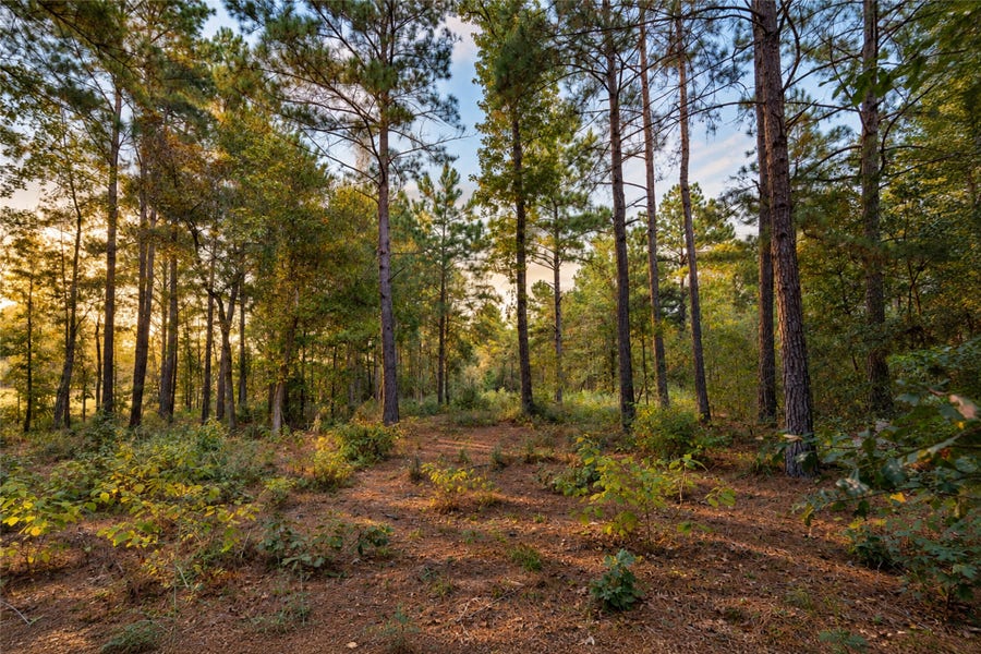 Property photo for 7078 Texas Trace, Montgomery, TX
