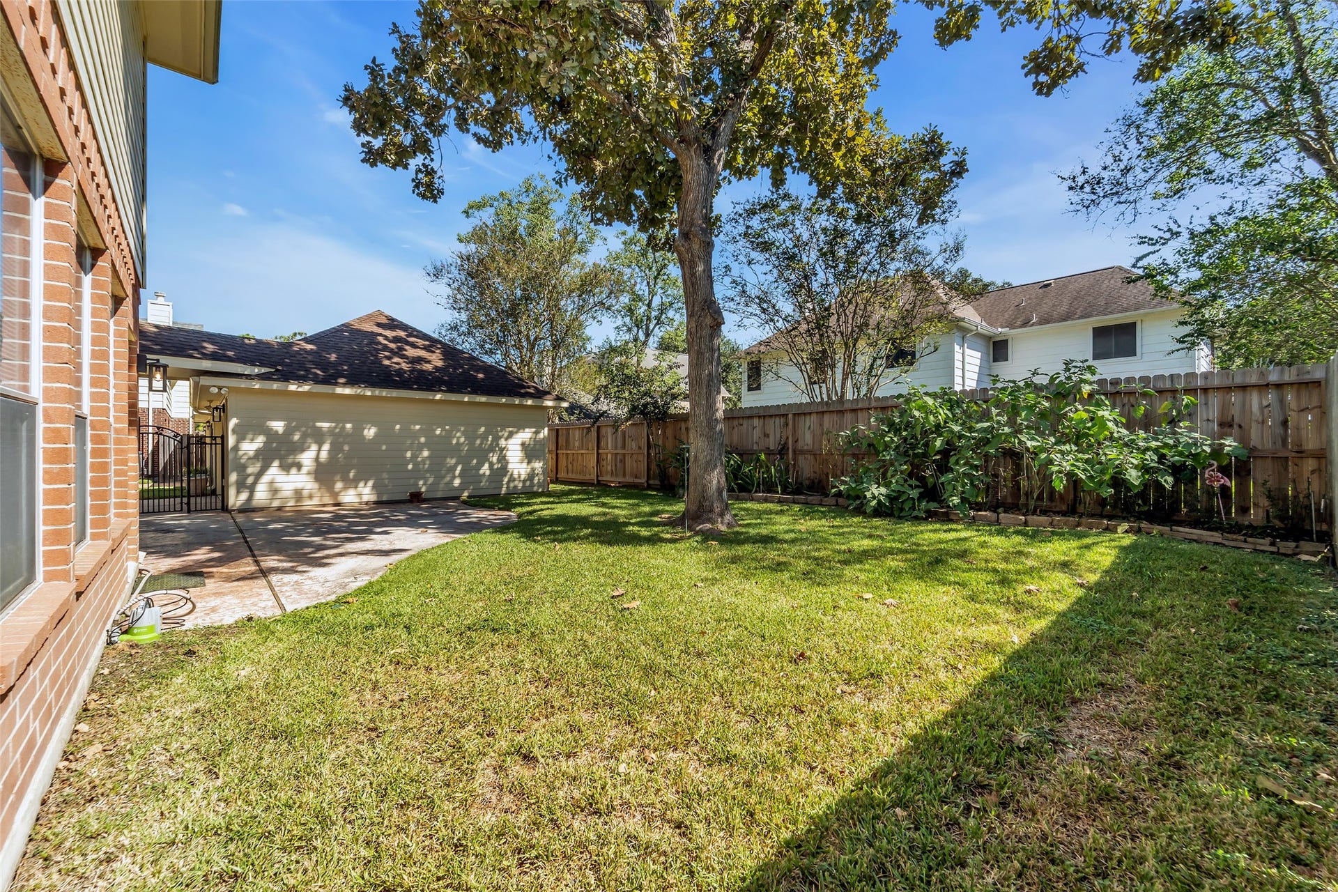 1344 Coleman Boylan Drive, League City, TX 77573 Charming backyard featuring a lush green lawn, a mature tree providing shade, and a well-maintained wooden fence for privacy, perfect for outdoor relaxation.