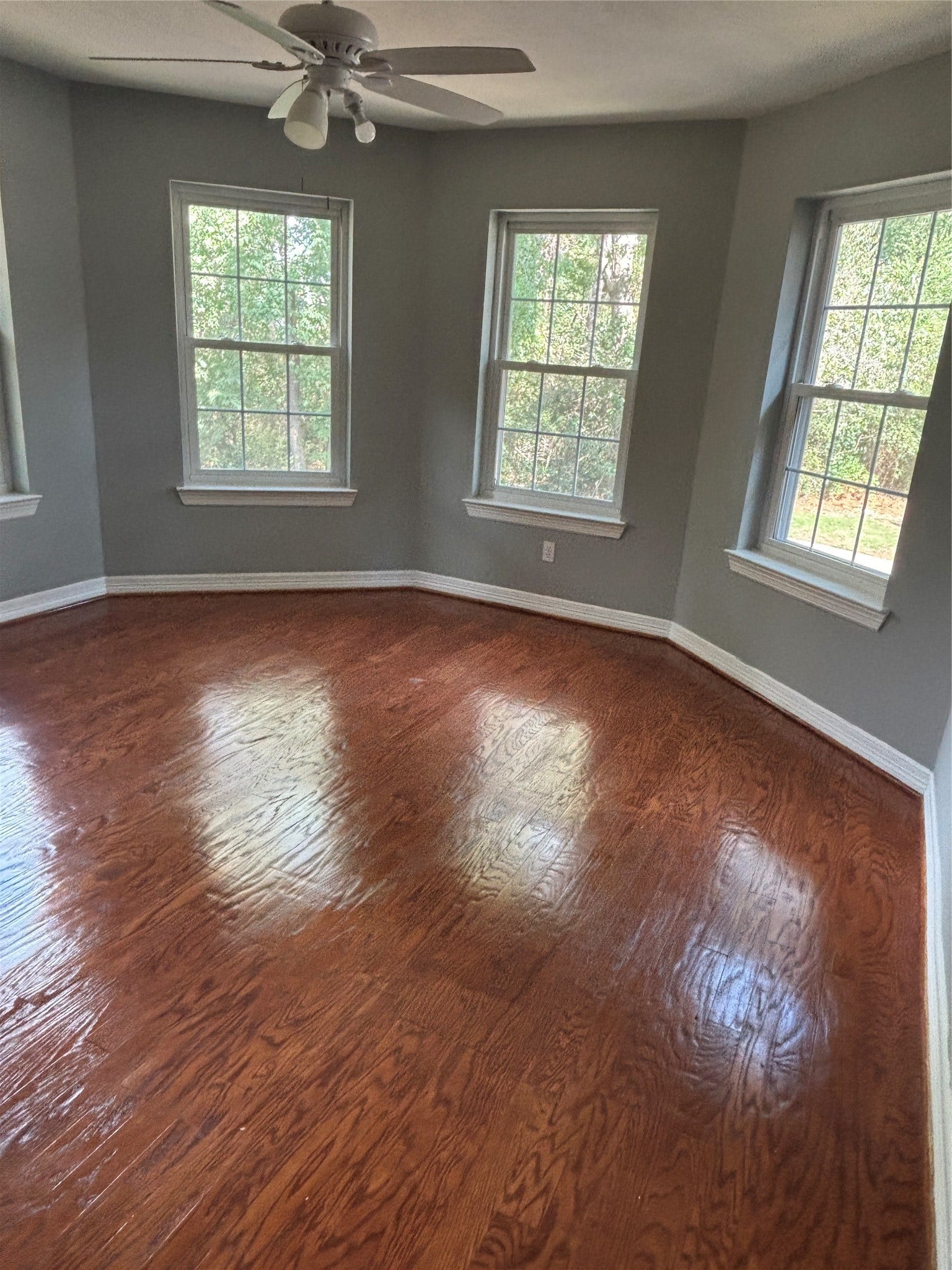 3411 Cedar Mill Court, Houston, TX 77345