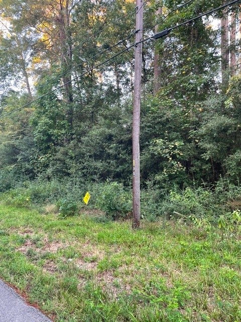 Property photo for TBD .51 AC Pecan Dr, Montgomery, TX