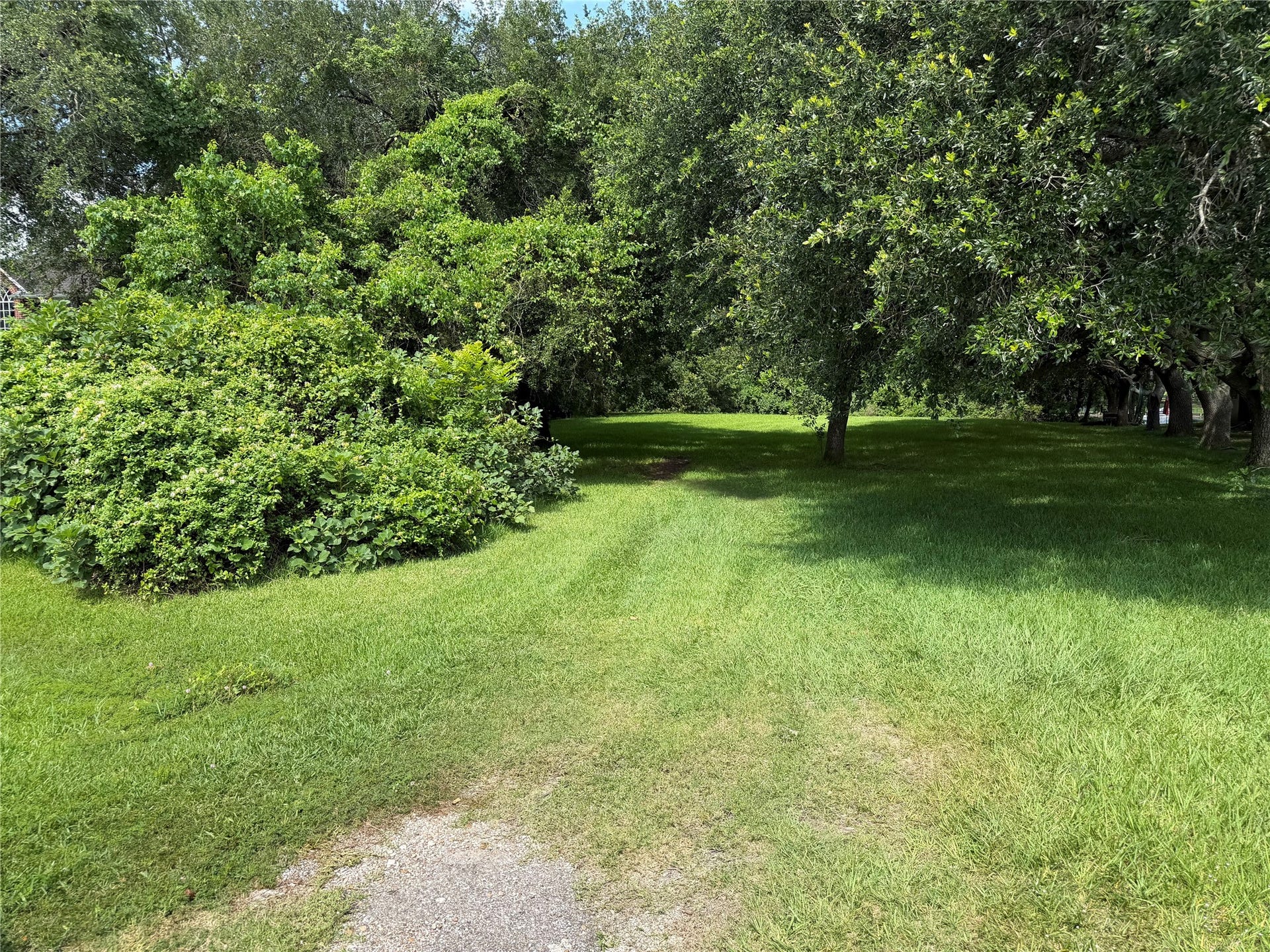 Front Yard