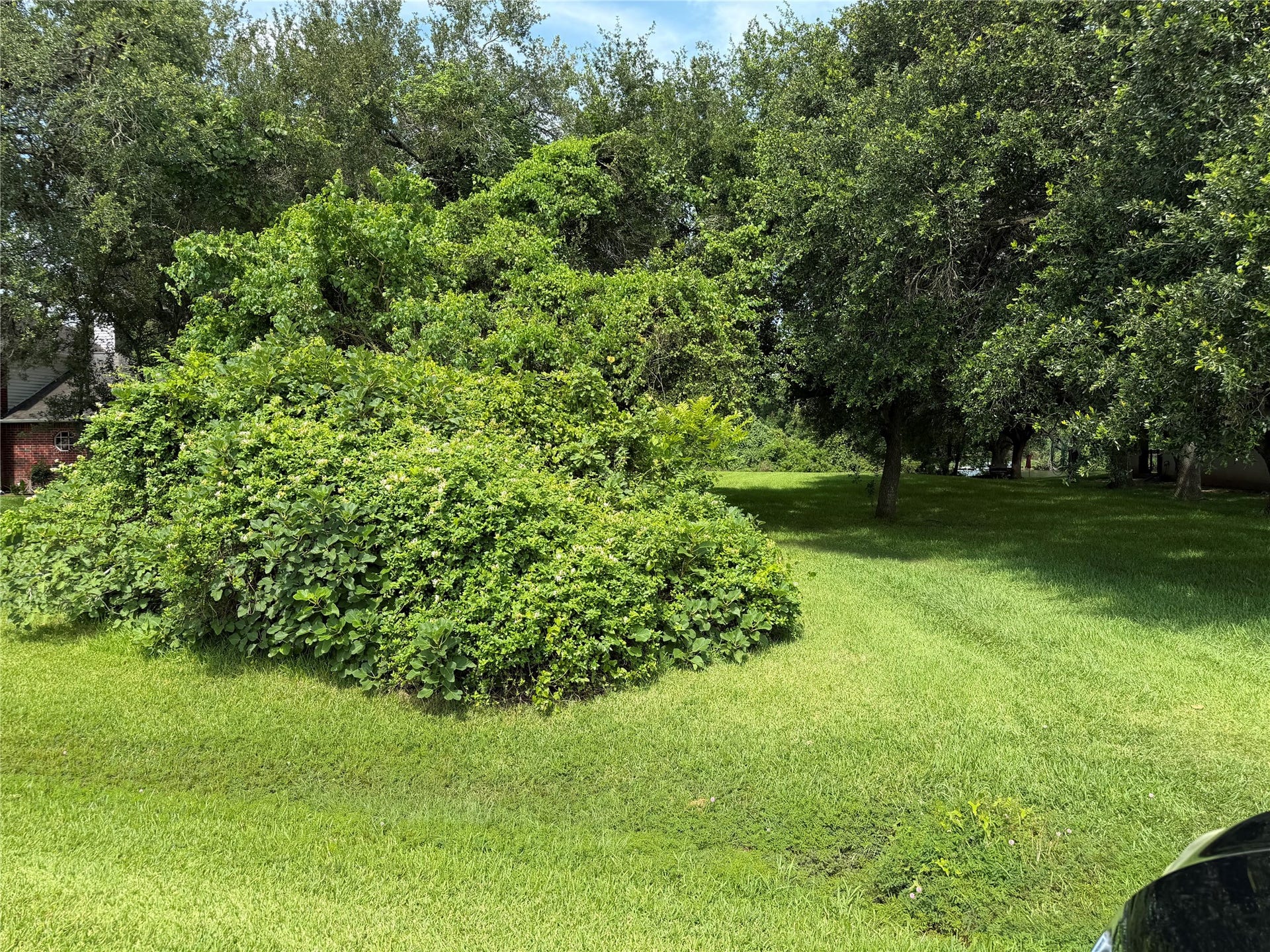 Front Yard